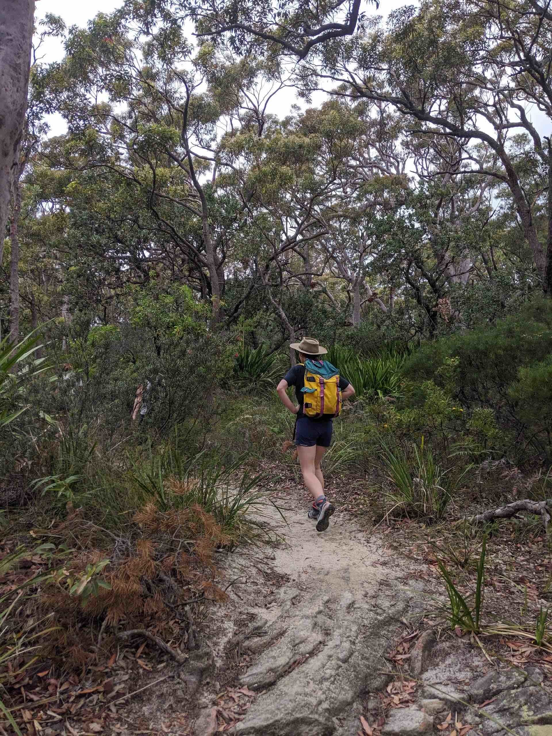 Trek Across The Illawarra Escarpment On The Forest Walk, Amy Fairall, path, hike, woman, backpack, forest, bush