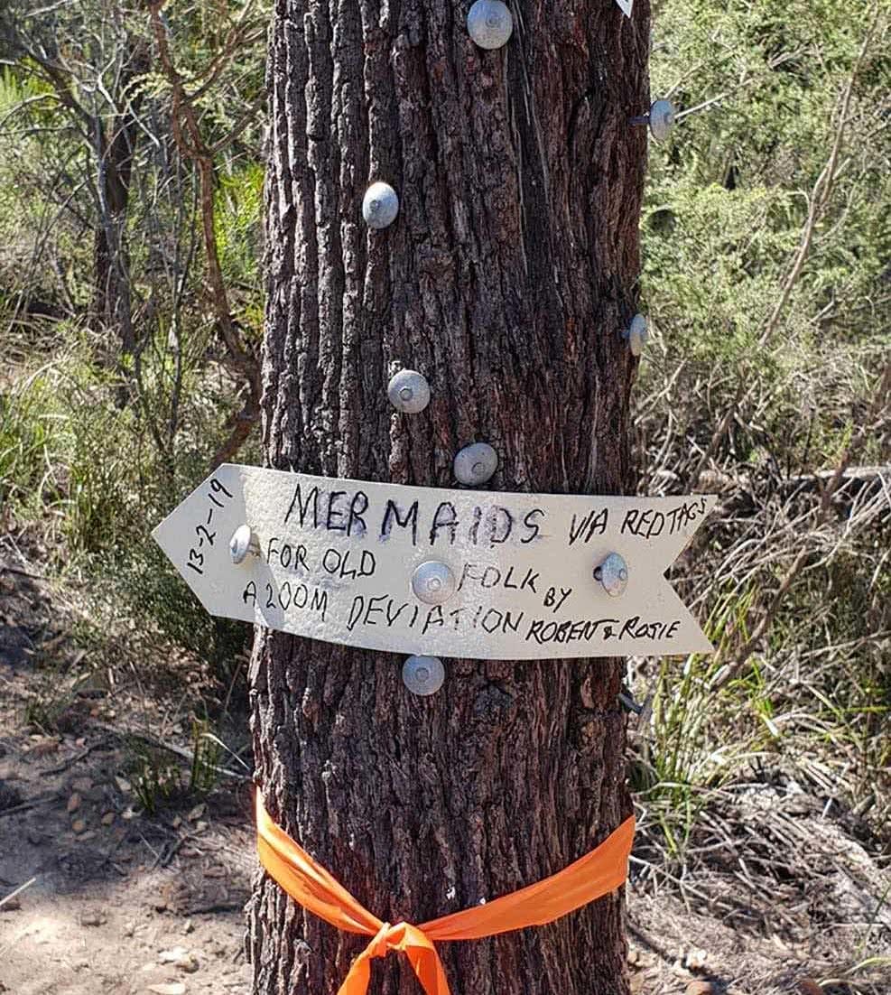 Take The Whole Family To The Mermaid Pools // Tahmoor (NSW), Leonie Waldron, gum tree, hand made sign, directions