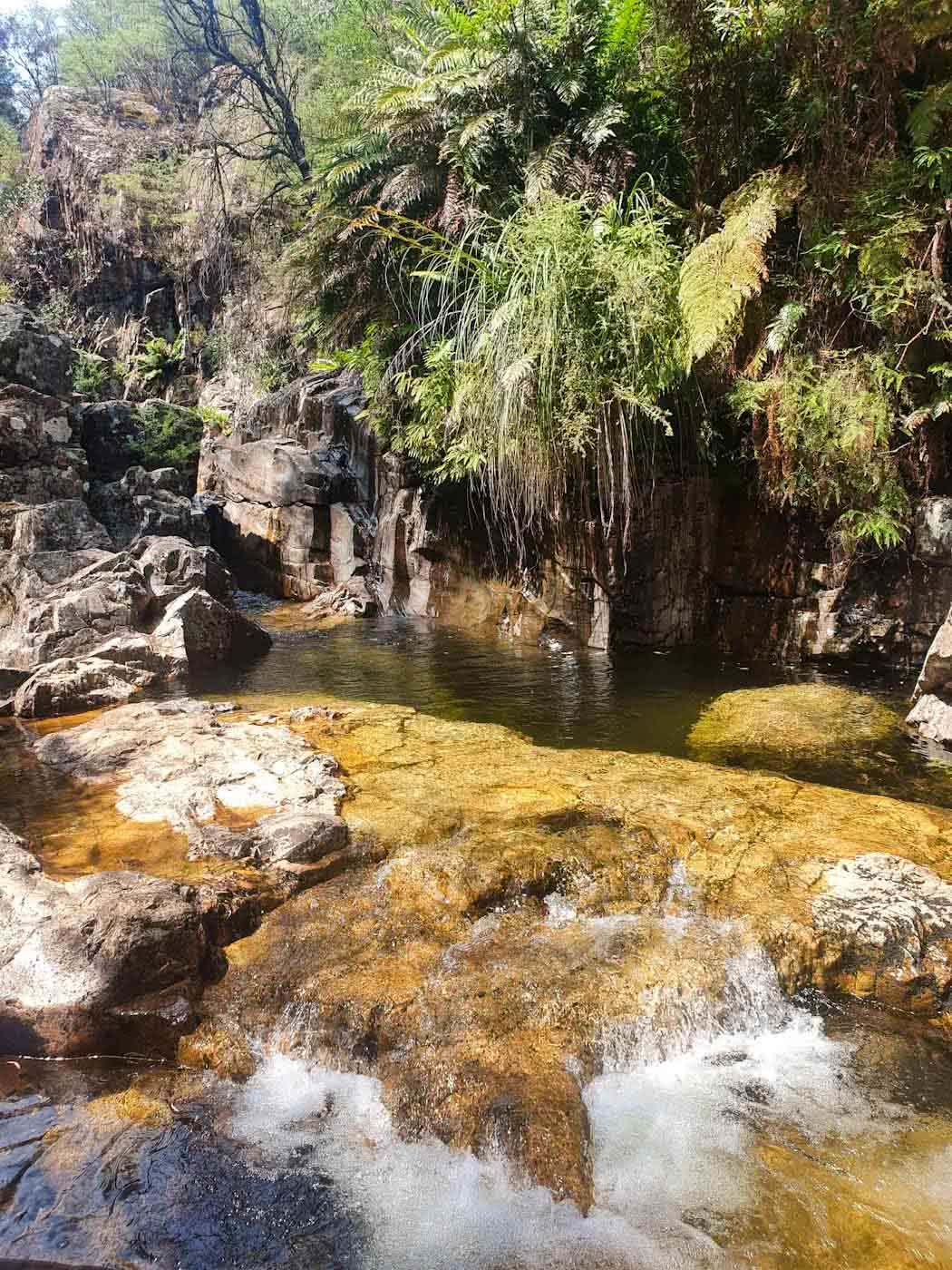 Cooling Down in Rollasons Falls // Mount Buffalo NP (VIC), Angela (), rocks, river, waterfall, bush