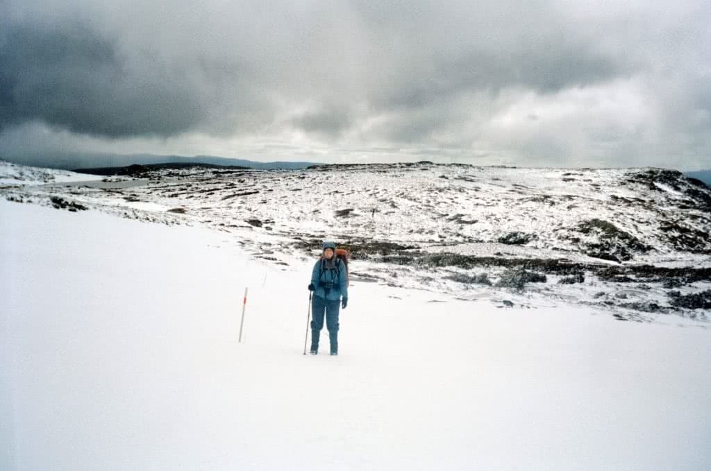 an ode to my walking stick, ruby bisson, overland track, tasmania