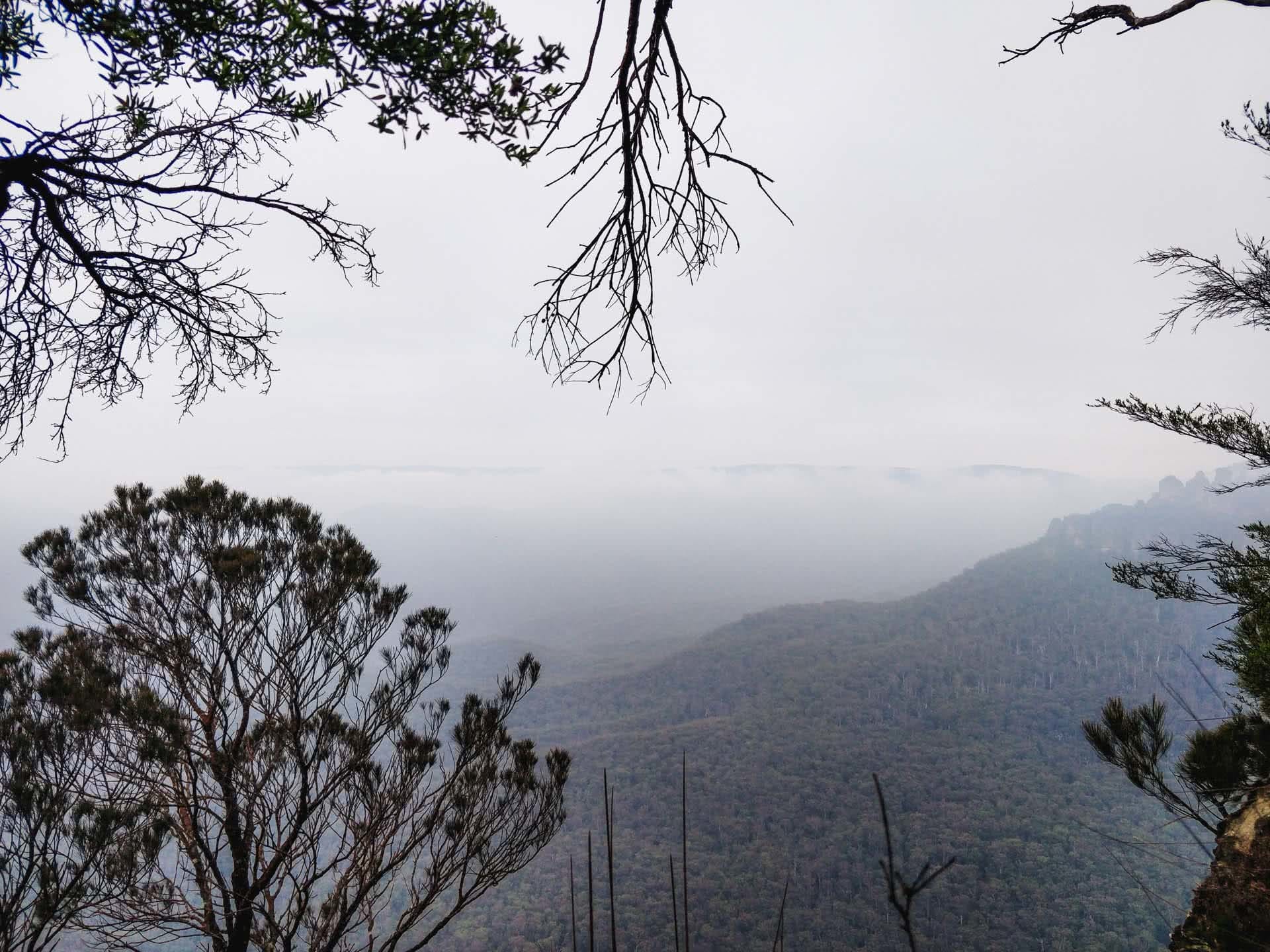 photo by Wendy Bruere, climbing Sweet Dreams, multi pitch, Sublime Point, Blue Mountains, NSW