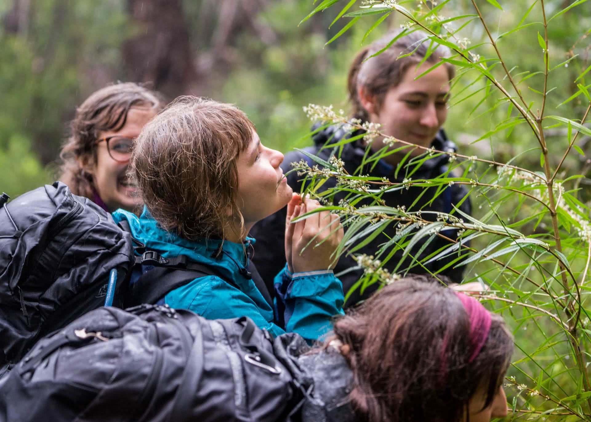 Twin Falls Circuit is the Perfect Rainy Day Hike // Springbrook National Park (QLD), Saphira Schroers, photo by Miranda Fittock, women, rain, hike, ferns, plants, drink