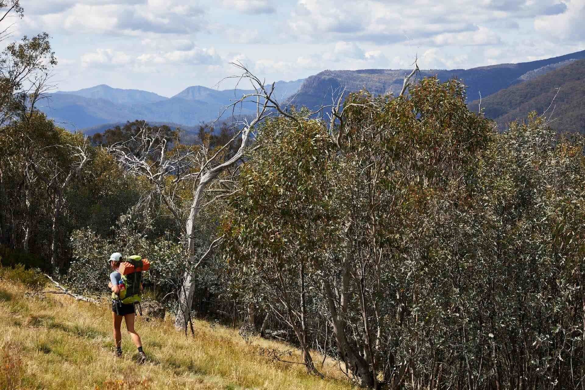 NEMO Switchback Ultralight Sleeping Pad – Gear Review, Pat Corden, woman, hike, pack, Mt Bluff, mountain, alpine