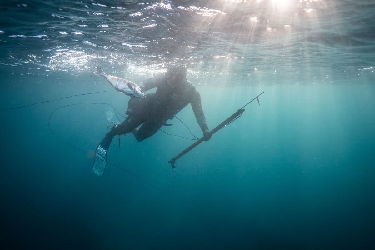 justin jones spearfishing