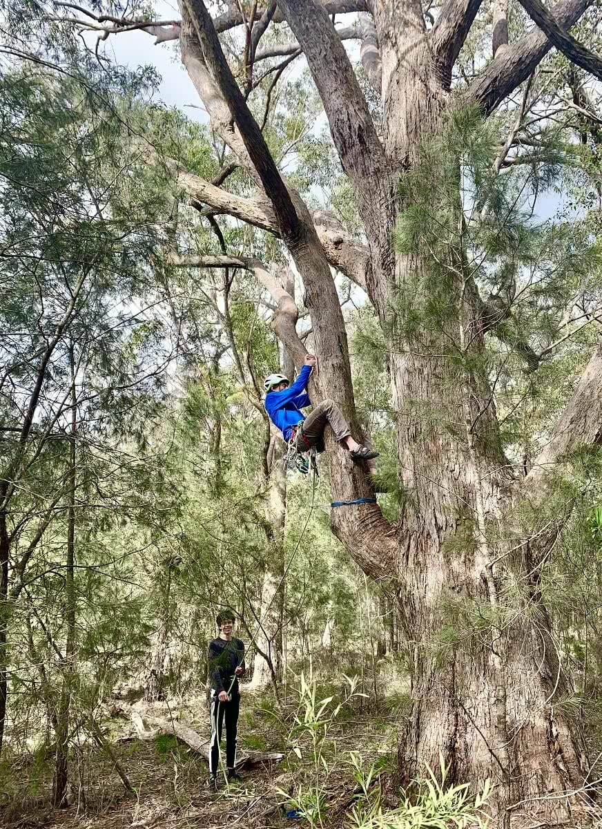 Tim and his nephew doing some free tree climbing ('sort of trad and definitely not sport!') 