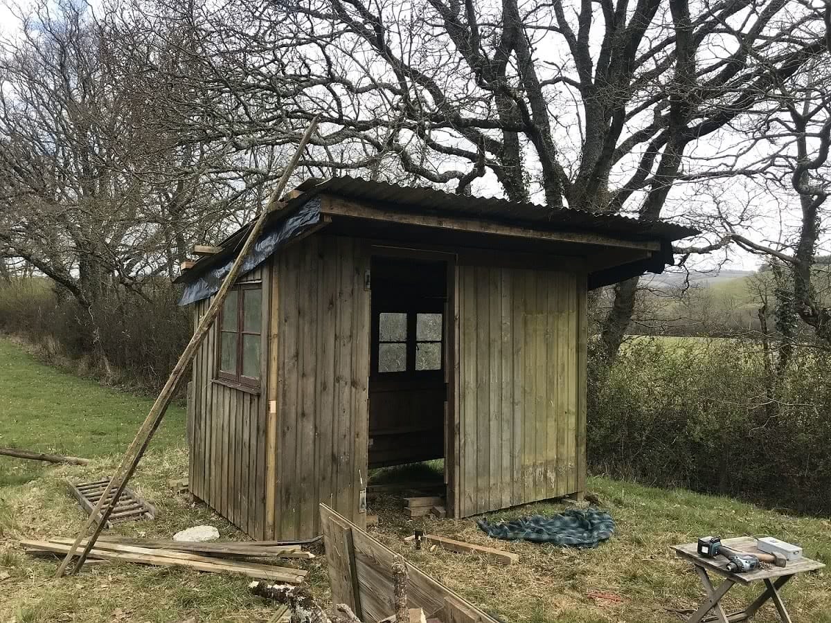 the turner twins shed