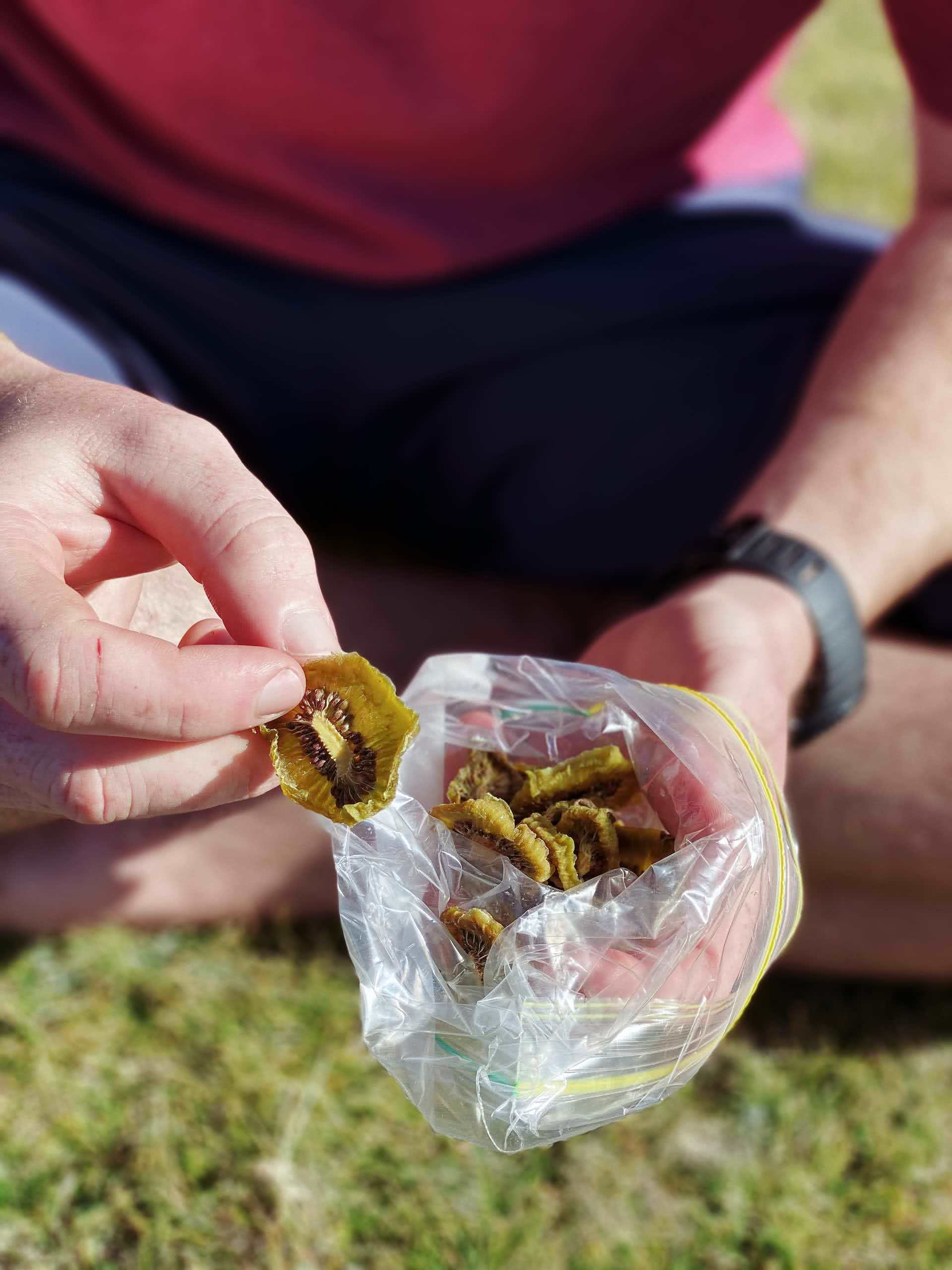 Dehydrated kiwis