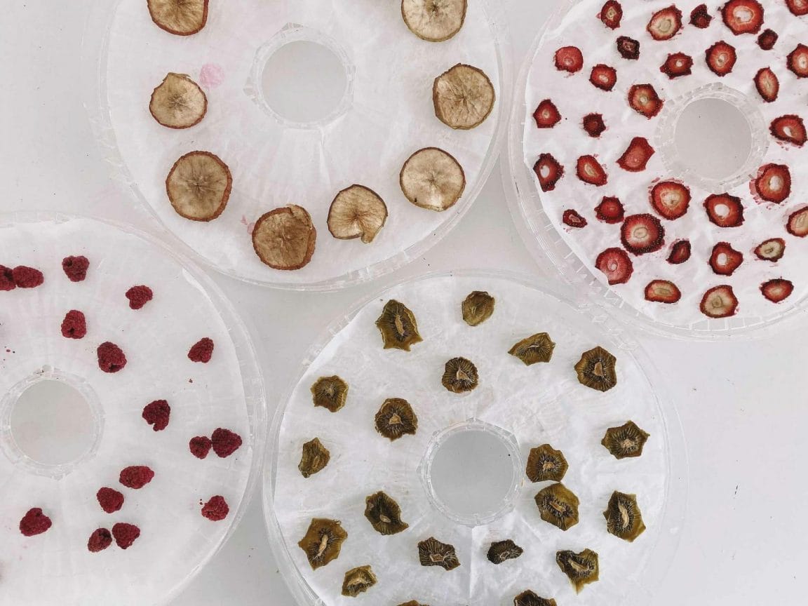 How to Dehydrate Food for Hiking and Camping We Are Explorers