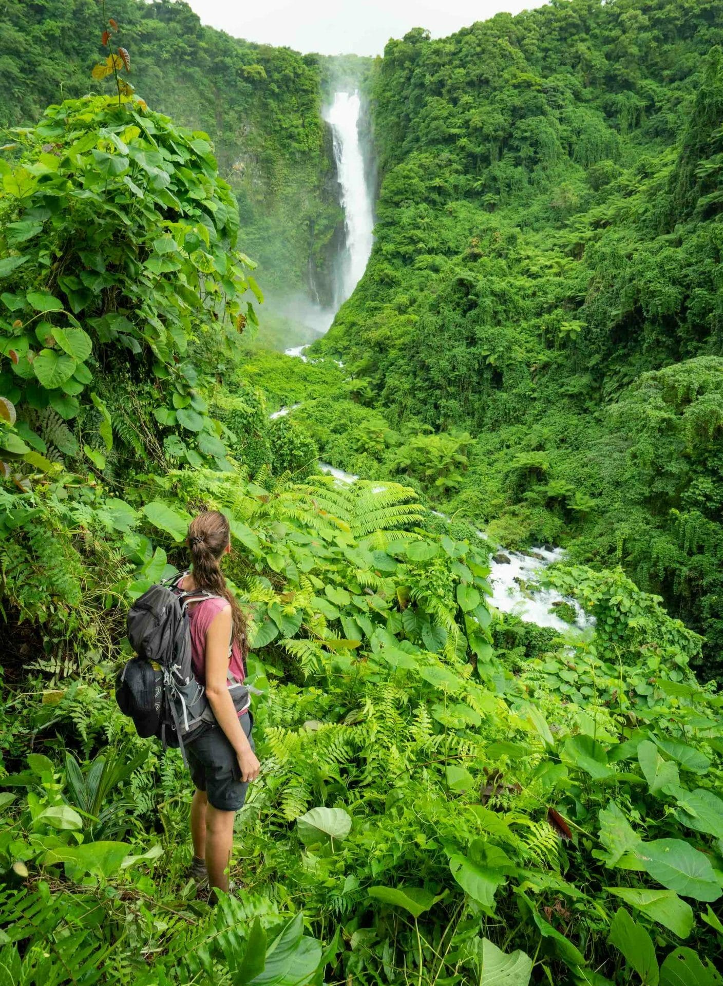 An Insider's Guide to Gaua, photos by Joel Johnson, Ruby Claire, Vanuatu, island, Siri Waterfall, rainforest, ferns, plants, green, lush