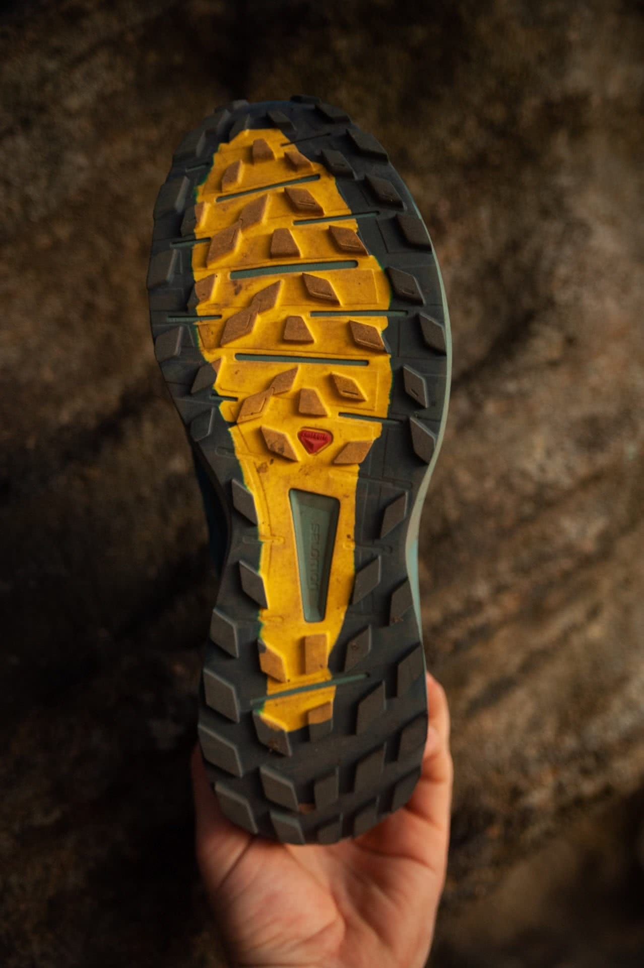 Salomon Sense Ride 3 // Gear Review, photo by Evan Andrews, runner Tim Ashelford, Balls head Reserve, sydney, nsw