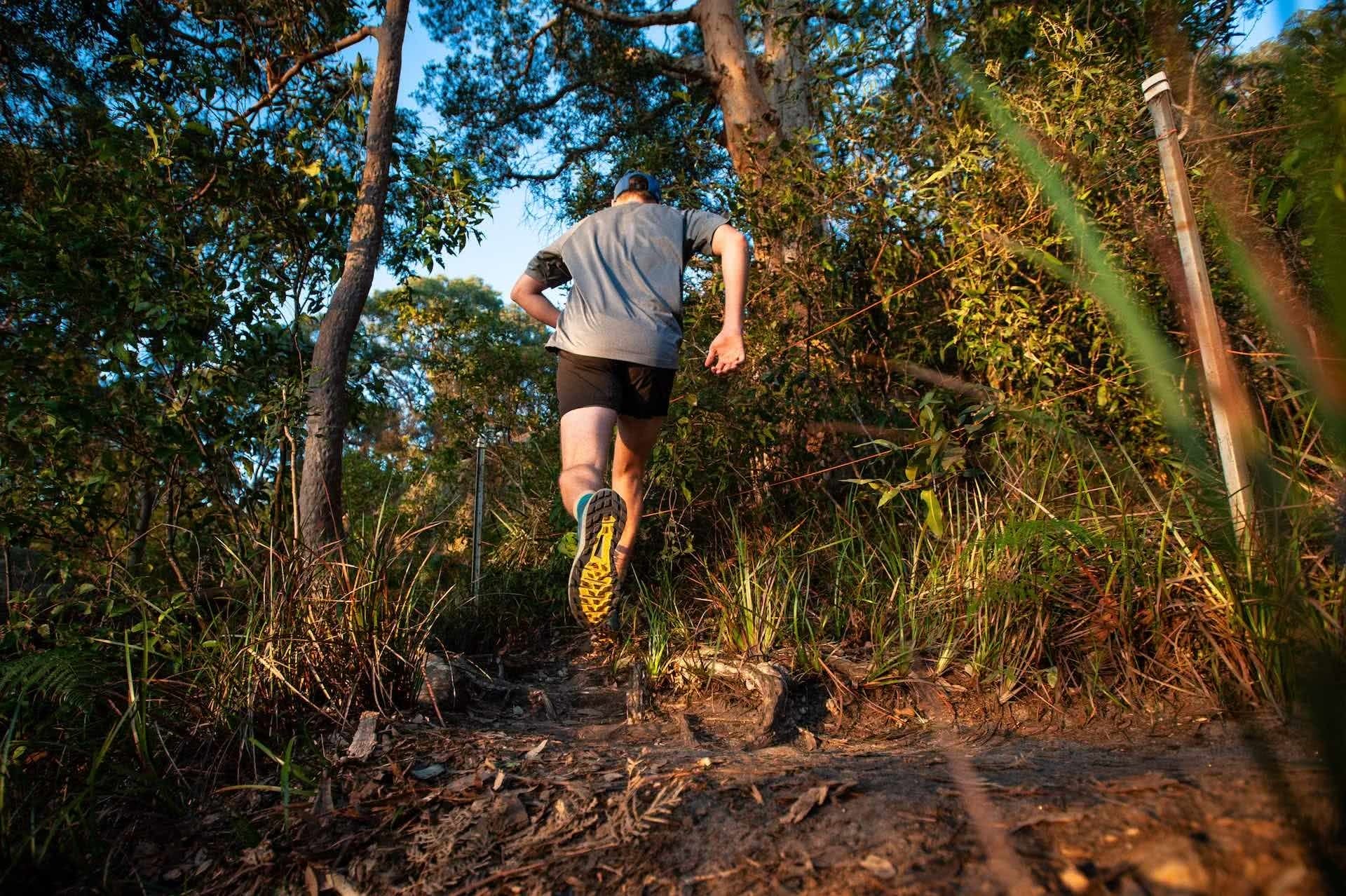 Salomon Sense Ride 3 // Gear Review, photo by Evan Andrews, runner Tim Ashelford, Balls head Reserve, sydney, nsw