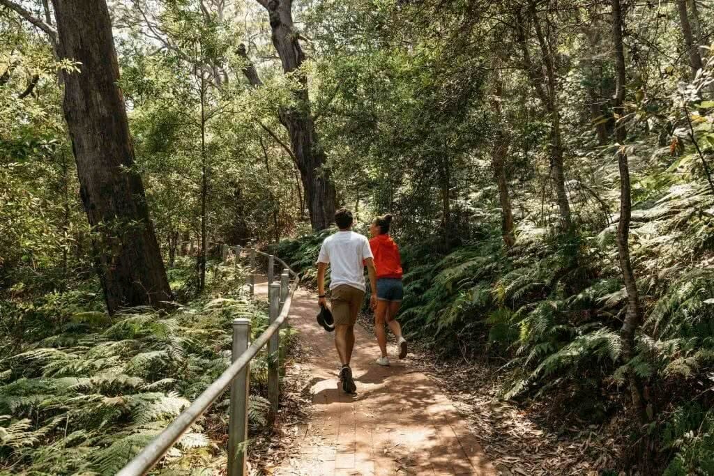 Tomaree Head Summit Walk – Port Stephens' Iconic Hike - We Are Explorers