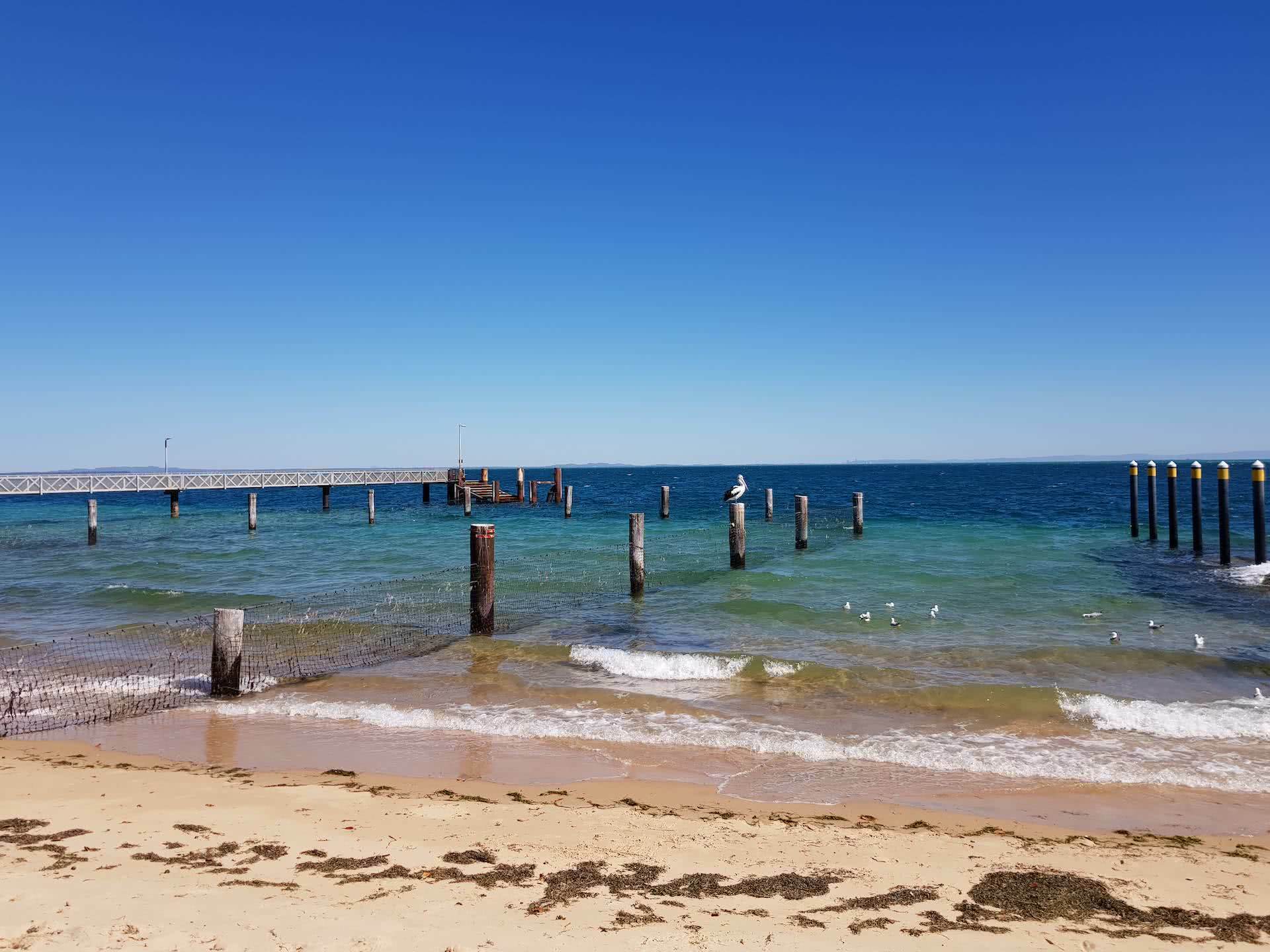 North Stradbroke Island is the Ultimate Brisbane Bikepacking Trip, Myrthe Braam, Amity Point Beach, pelican, ocean