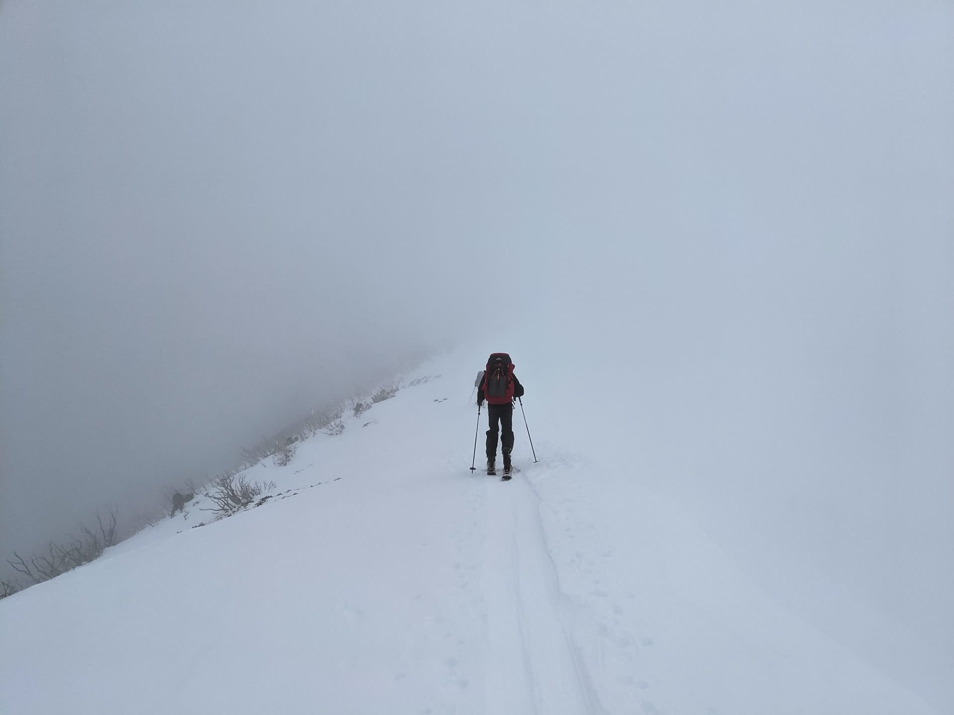 aidan howes, razorback, ski, whiteout, backcountry