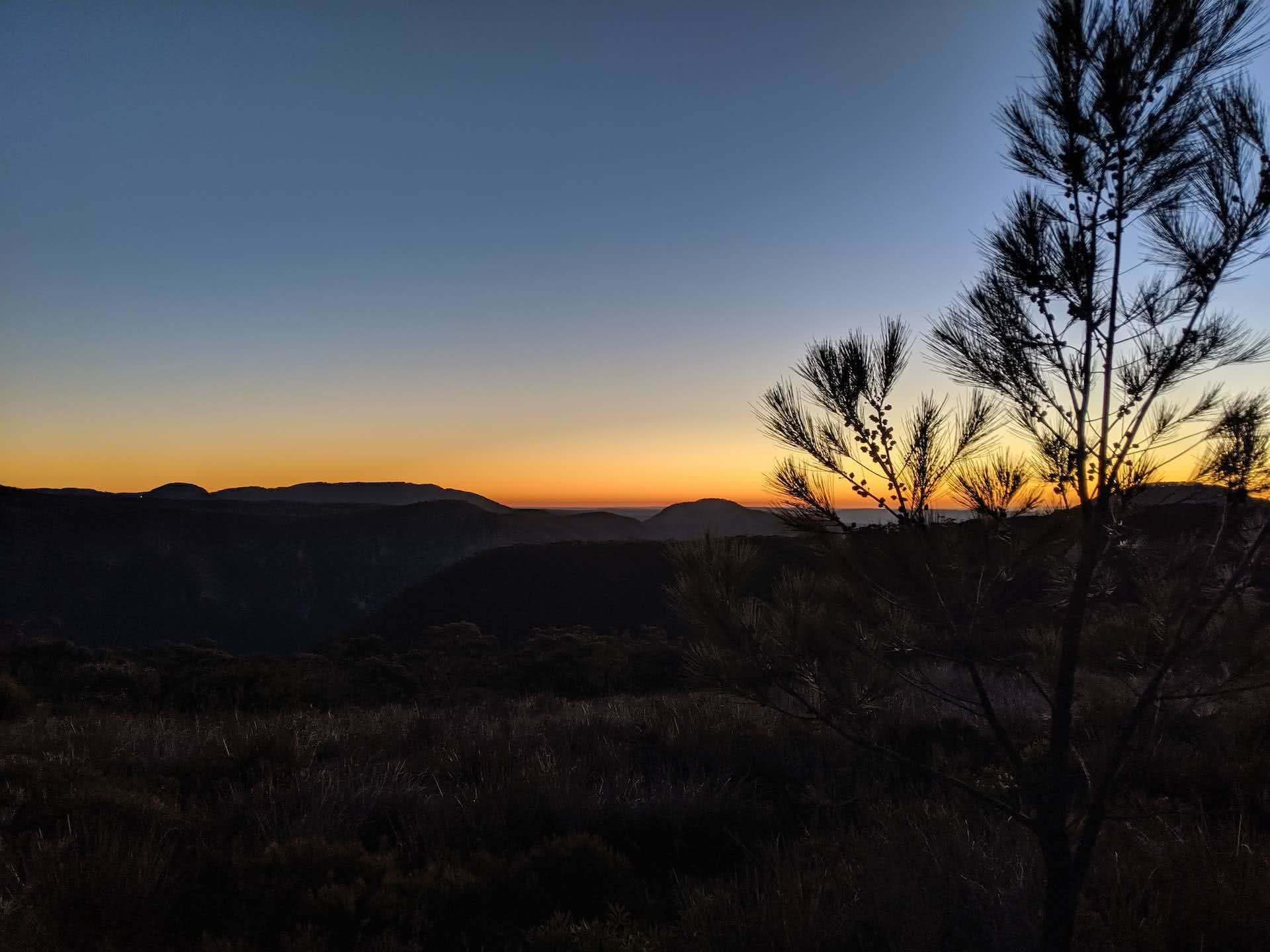 Hike to Lockleys Pylon for Sunrise // Blue Mountains National Park, Joelle Barallon, sunrise, shadow, blue mountains, tree