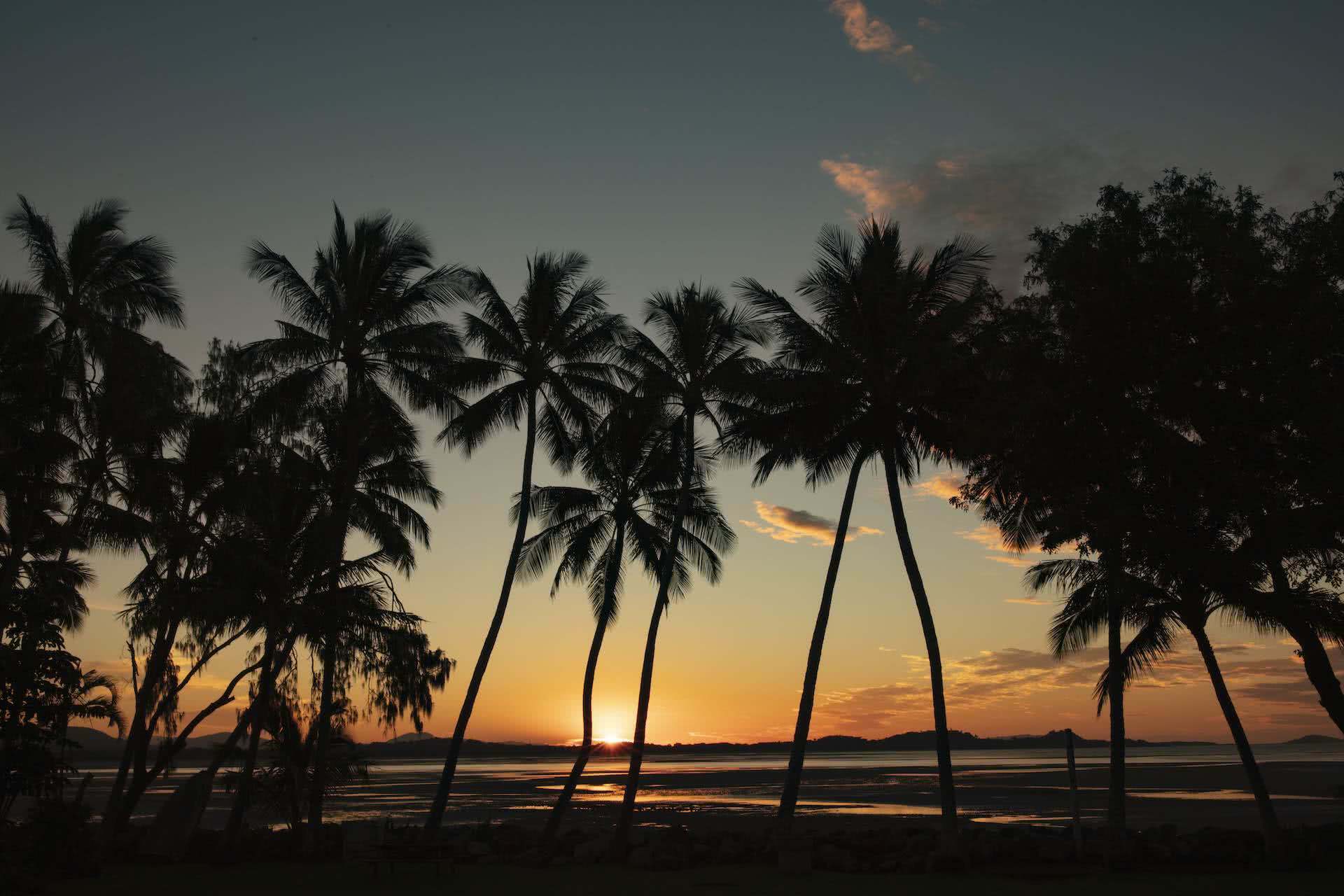 Top 10 Road Trips in Queensland, photo from TEQ, palm trees, beach, sunset