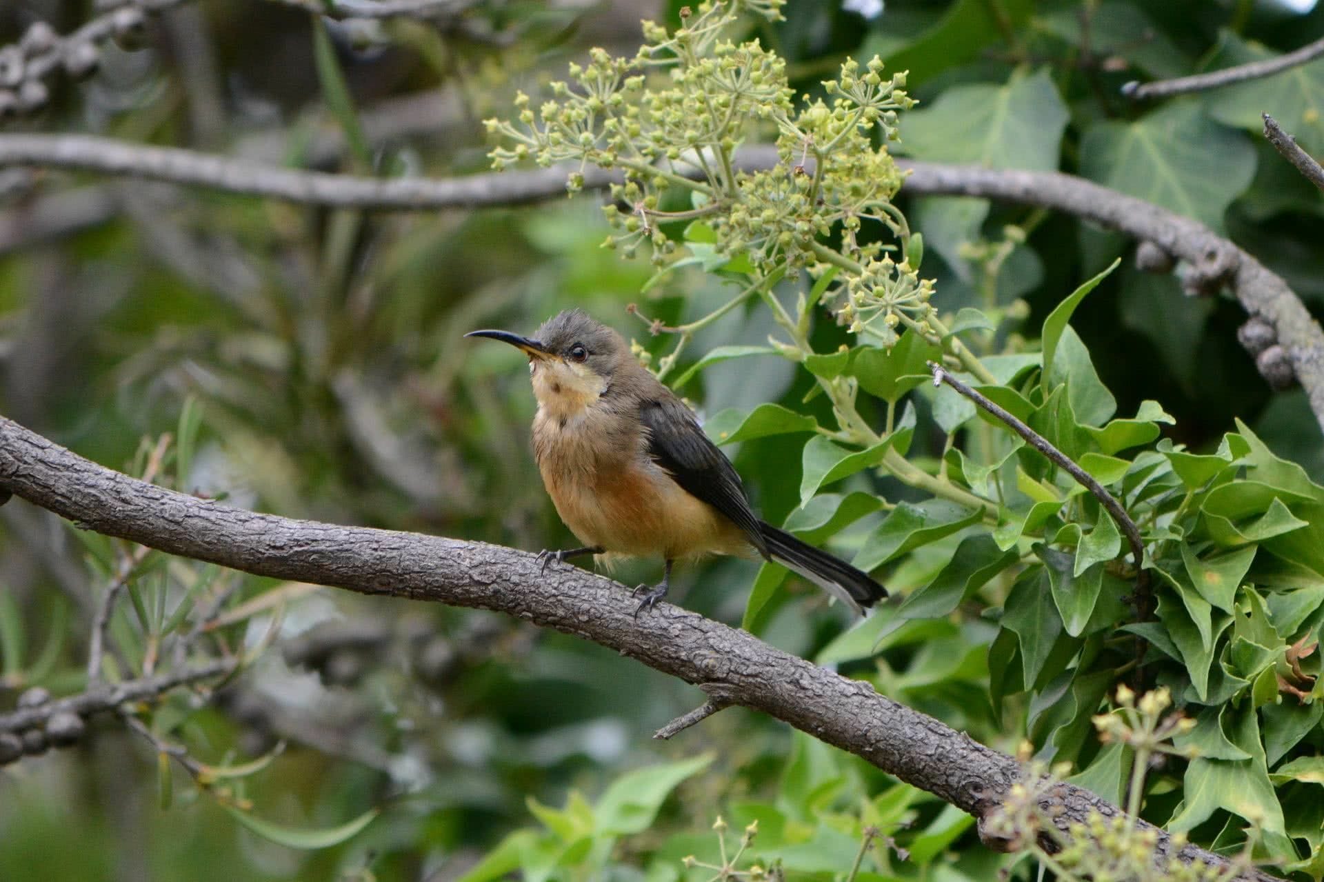 Expedition Anywhere: Explore The World With Citizen Science - We Are ...