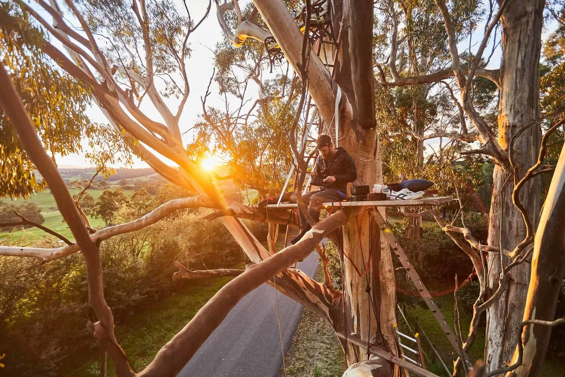 beau miles in big gums, photo by pat corden, film, victoria, sunrise, breakfast