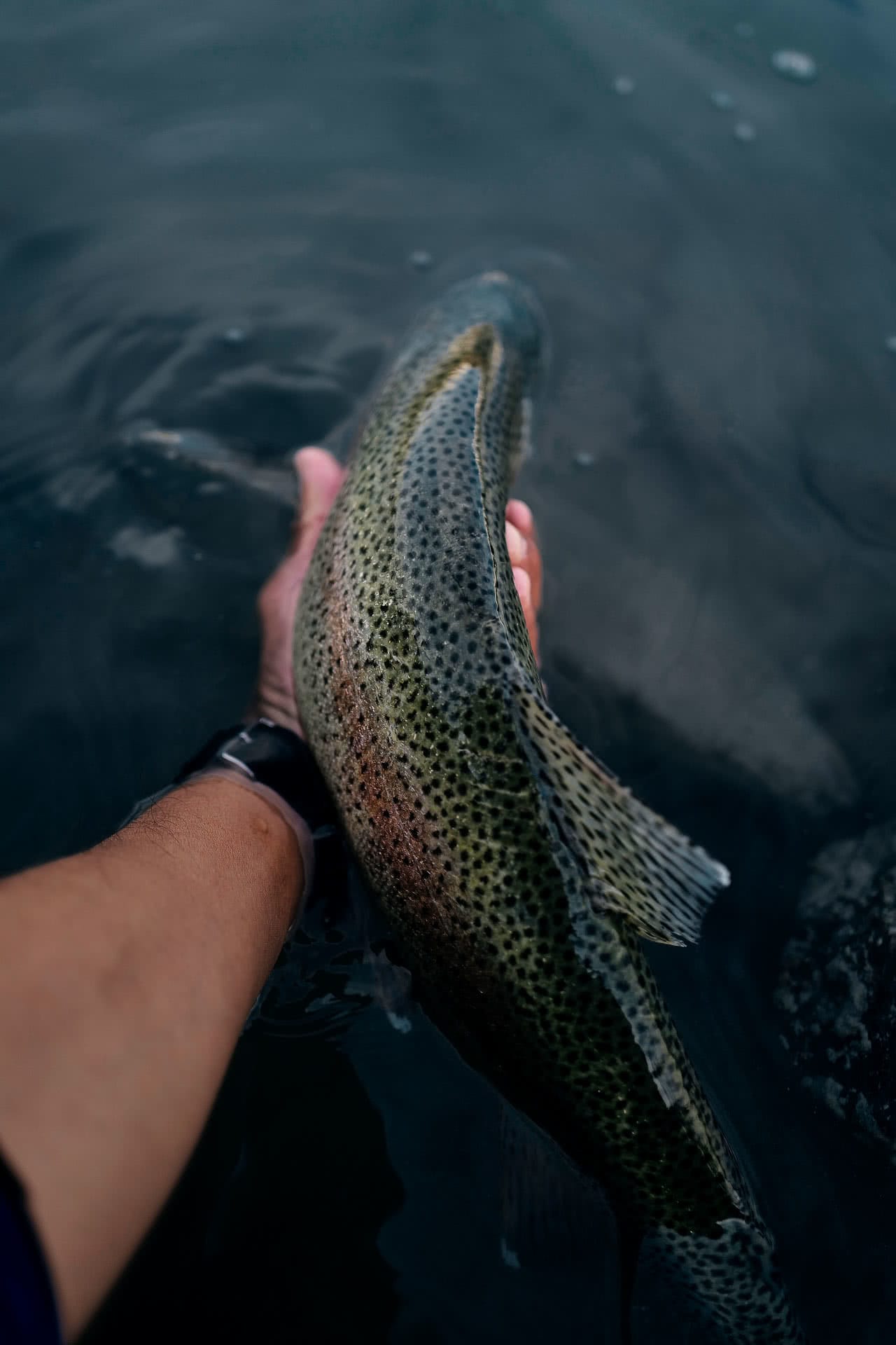 This High Country Cabin Offers the Wild Isolation We All Need Right Now, photo by Kenny Smith, cabin, isolation, twizel, south island, new zealand, fly fishing, trout