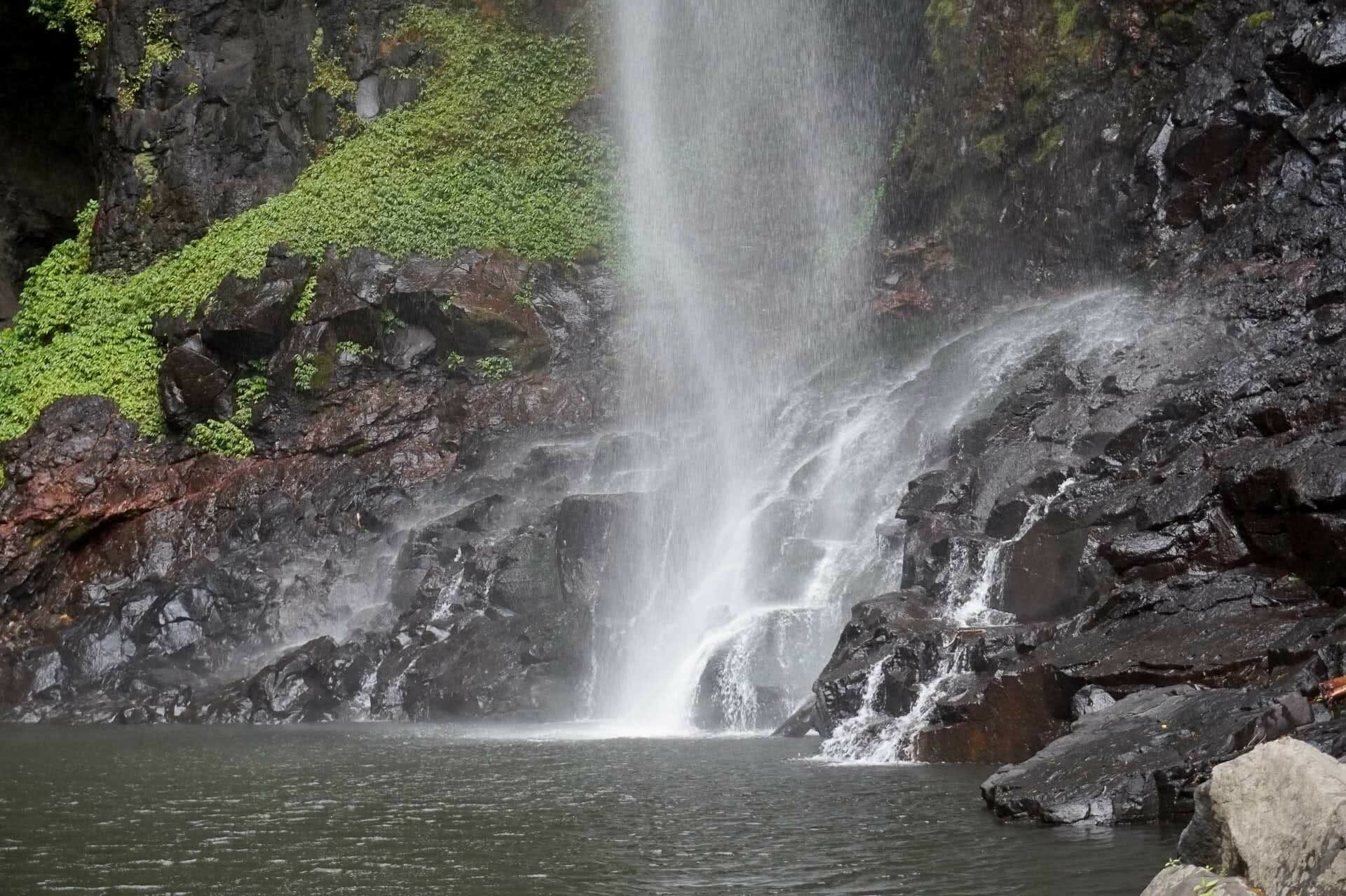 Waterfall in Lamington National Park, It’s Tick Season! How Deal With and Avoid the Nastiest of Critters, Roz Glazebrook