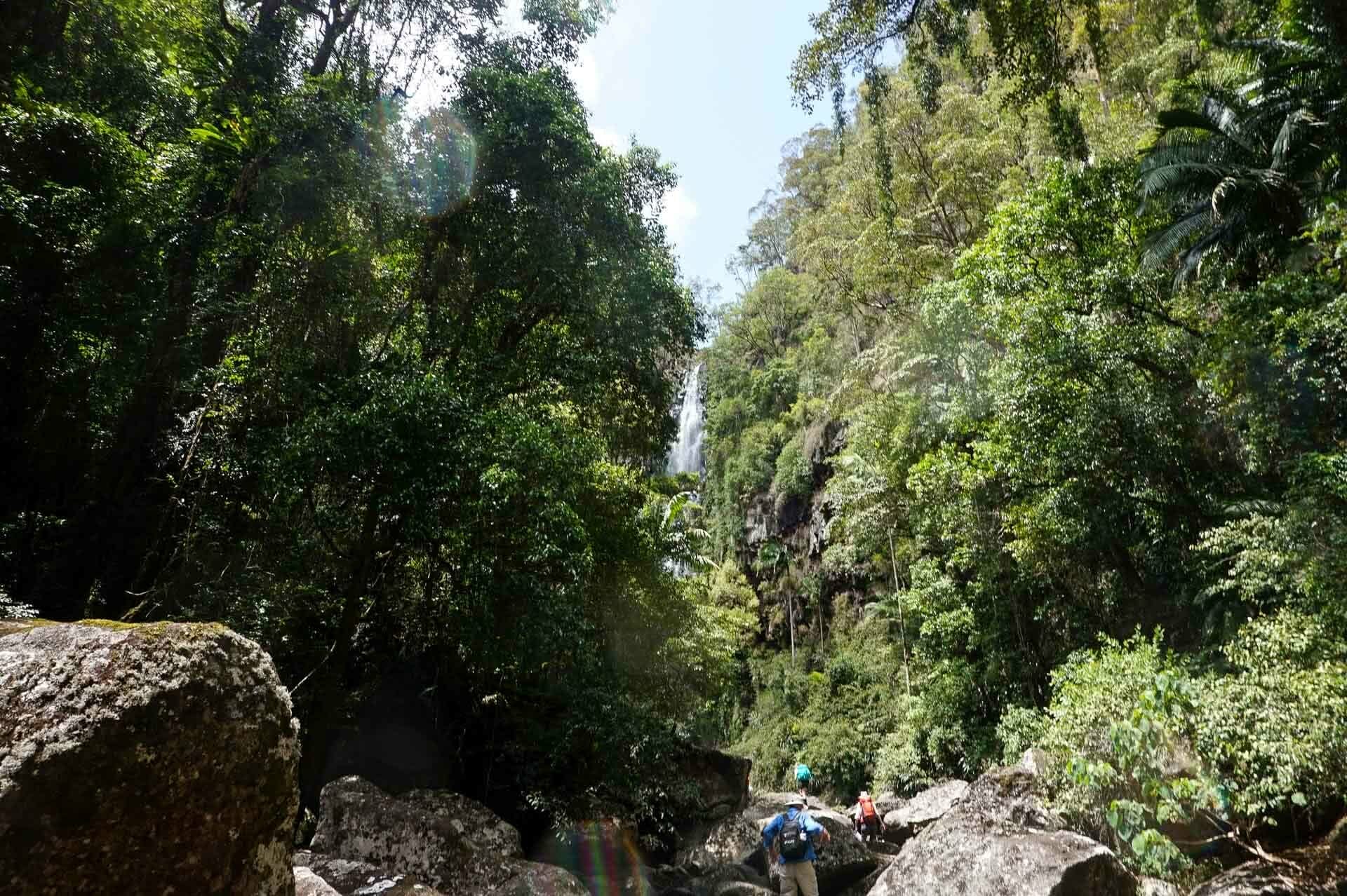 rockhopping to falls, It’s Tick Season! How Deal With and Avoid the Nastiest of Critters, Roz Glazebrook
