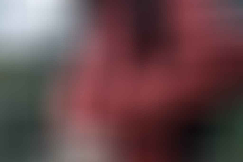 Jack Brookes, Zorali Rain Dance Kit // Gear Review