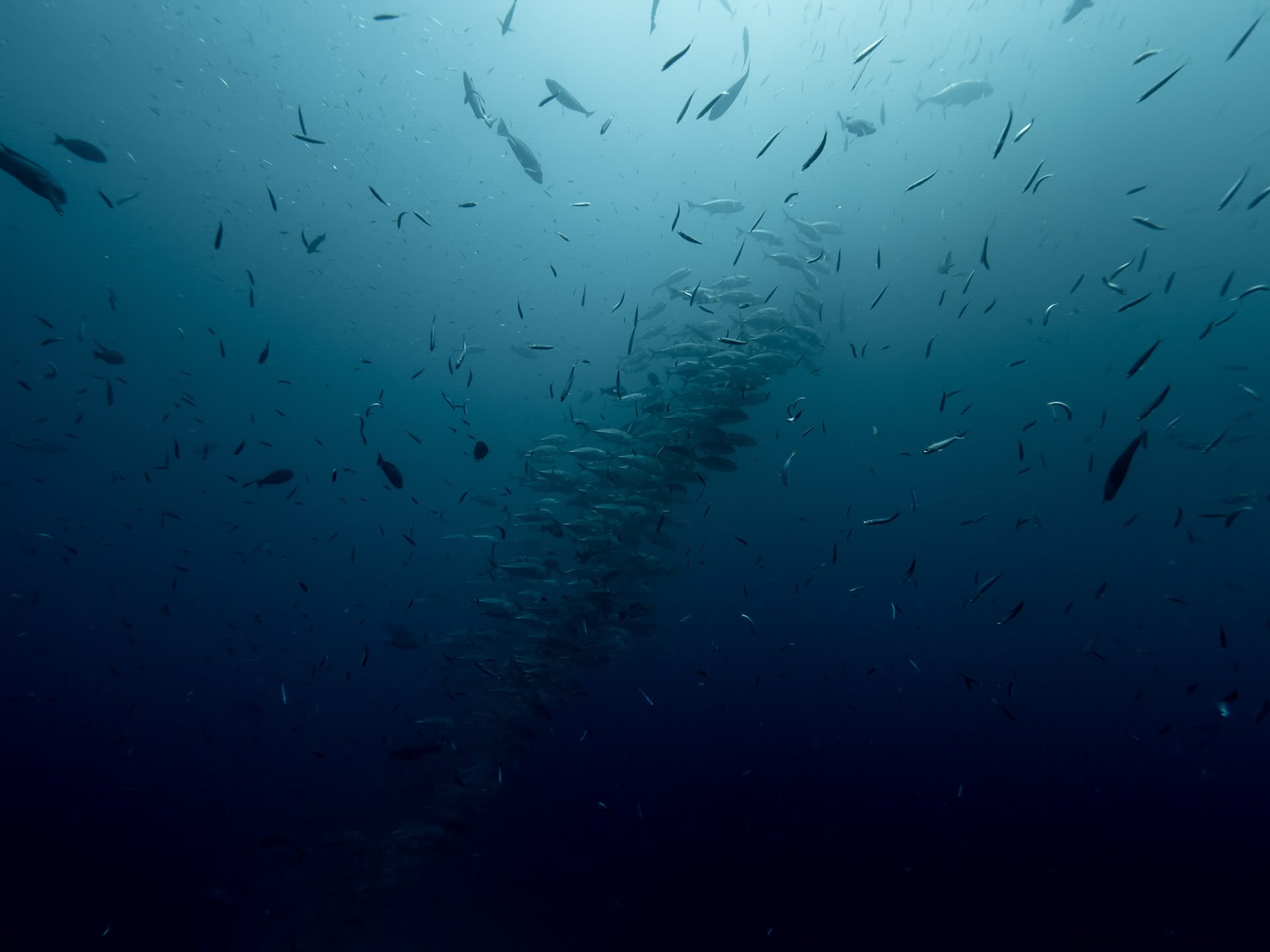 The Great Barrier Reef, michaela skovranova, @mishkusk