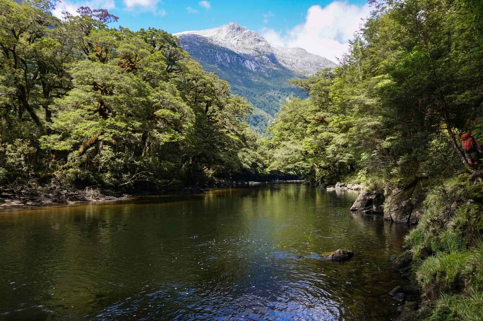 Snow-capped mountains above Seaforth River, dusky track, new zealand's hardest hike, winsome whyte, fiordland, south island, new zealand