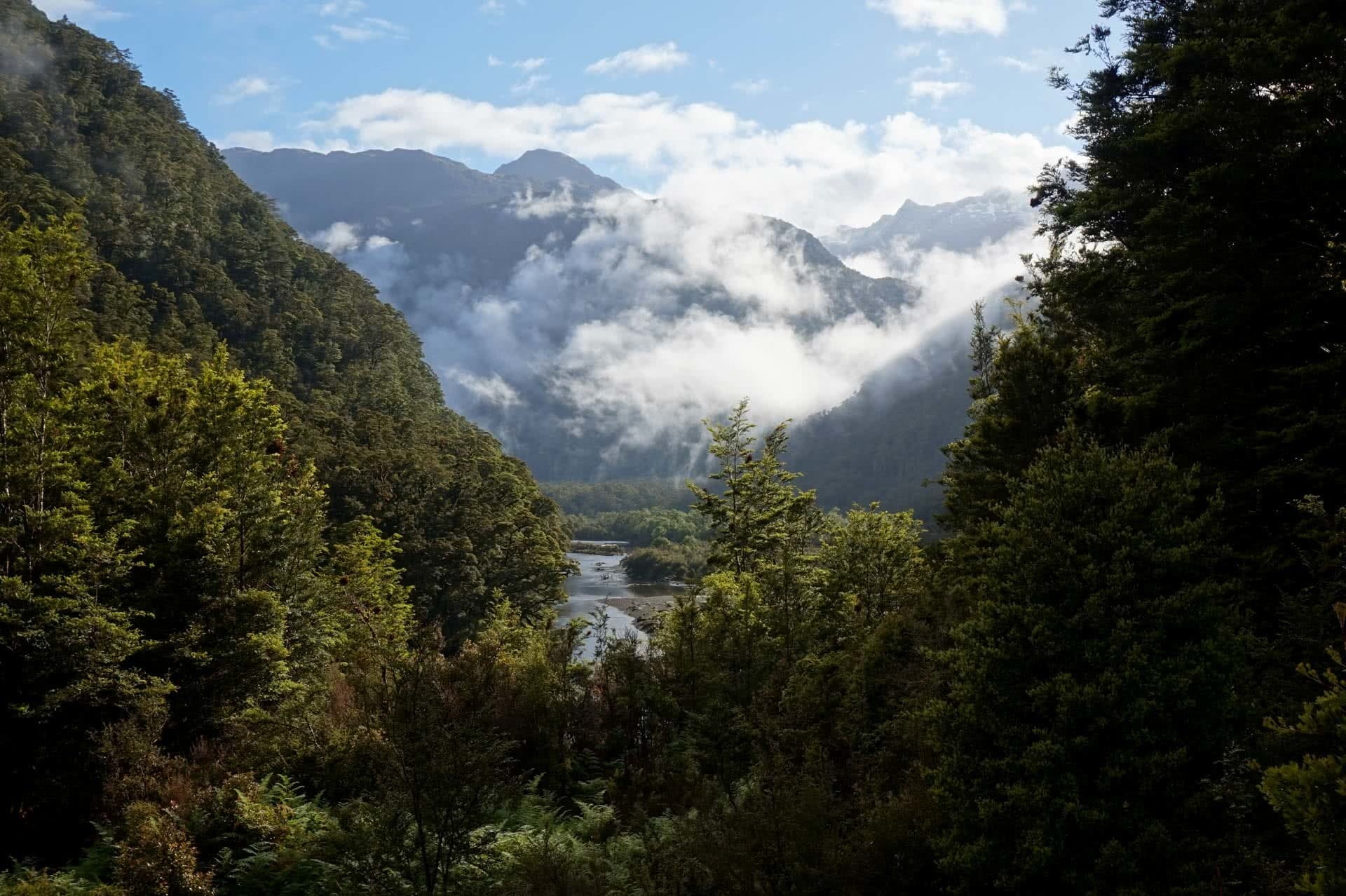 Loch Maree, dusky track, new zealand's hardest hike, winsome whyte, fiordland, south island, new zealand