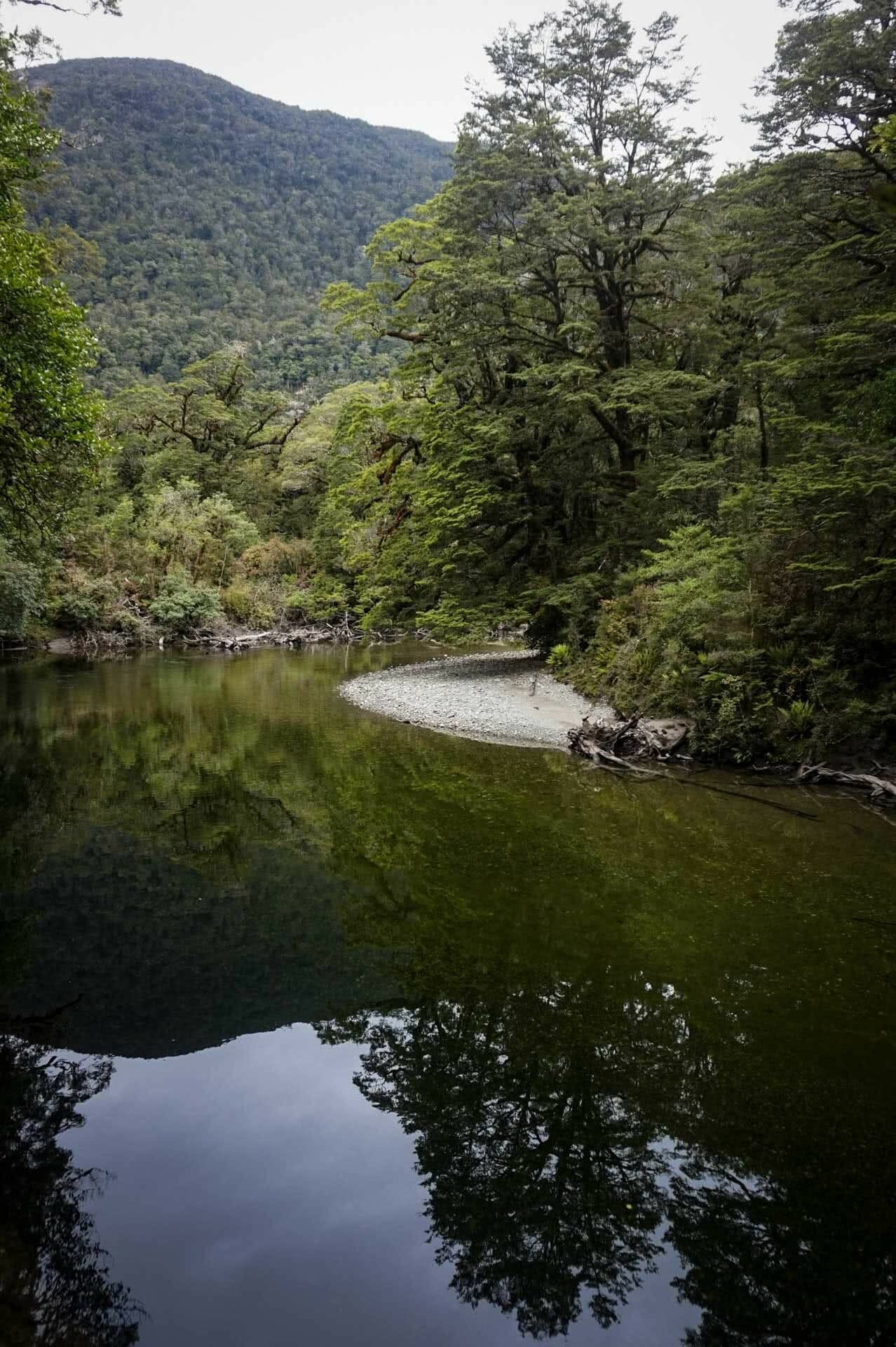 Hauroko Burn, dusky track, new zealand's hardest hike, winsome whyte, fiordland, south island, new zealand