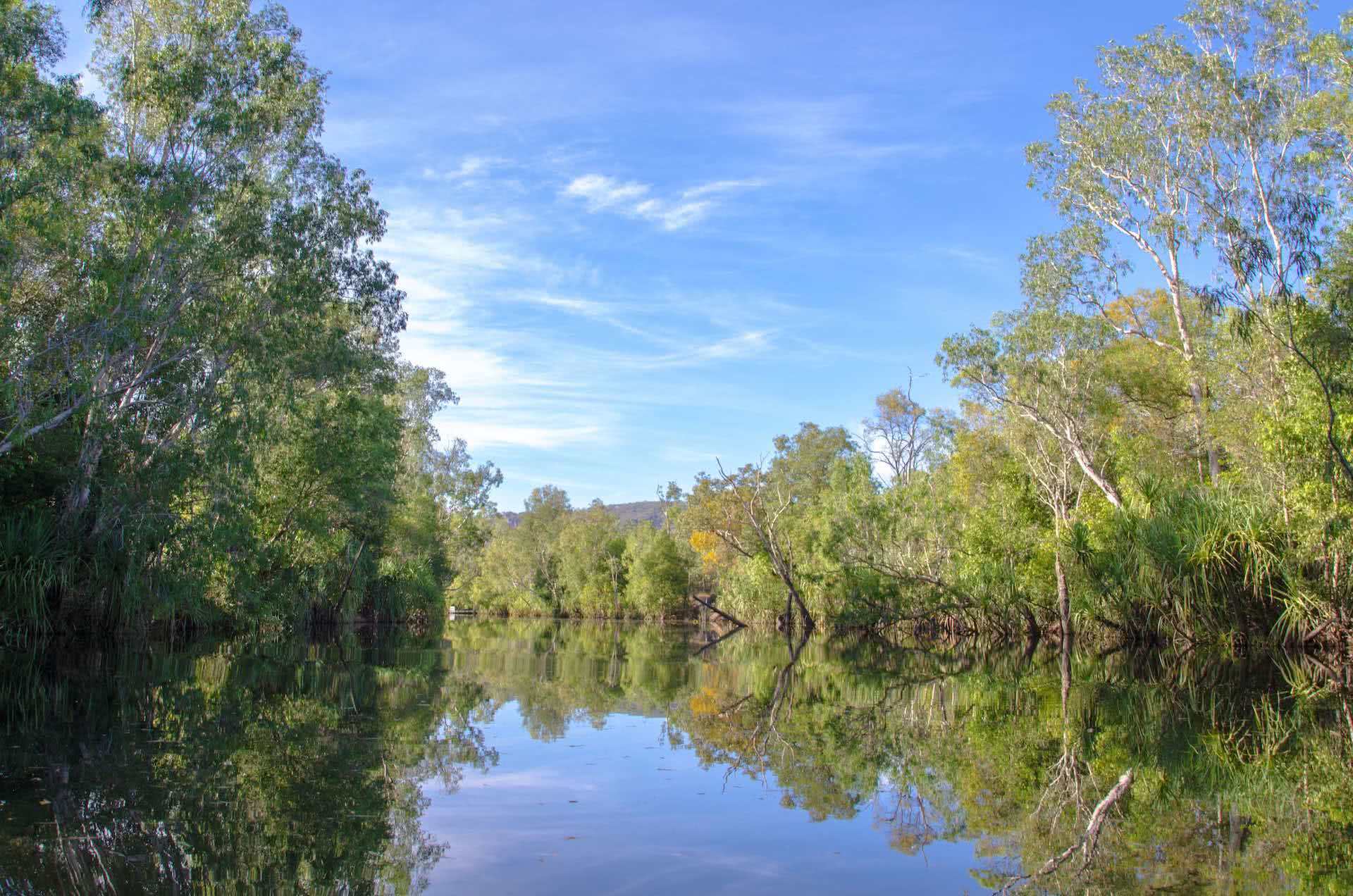 Road Tripping Kakadu National Park, Victoria Pantazis, NT, Jim Jim creek crossing, river, trees