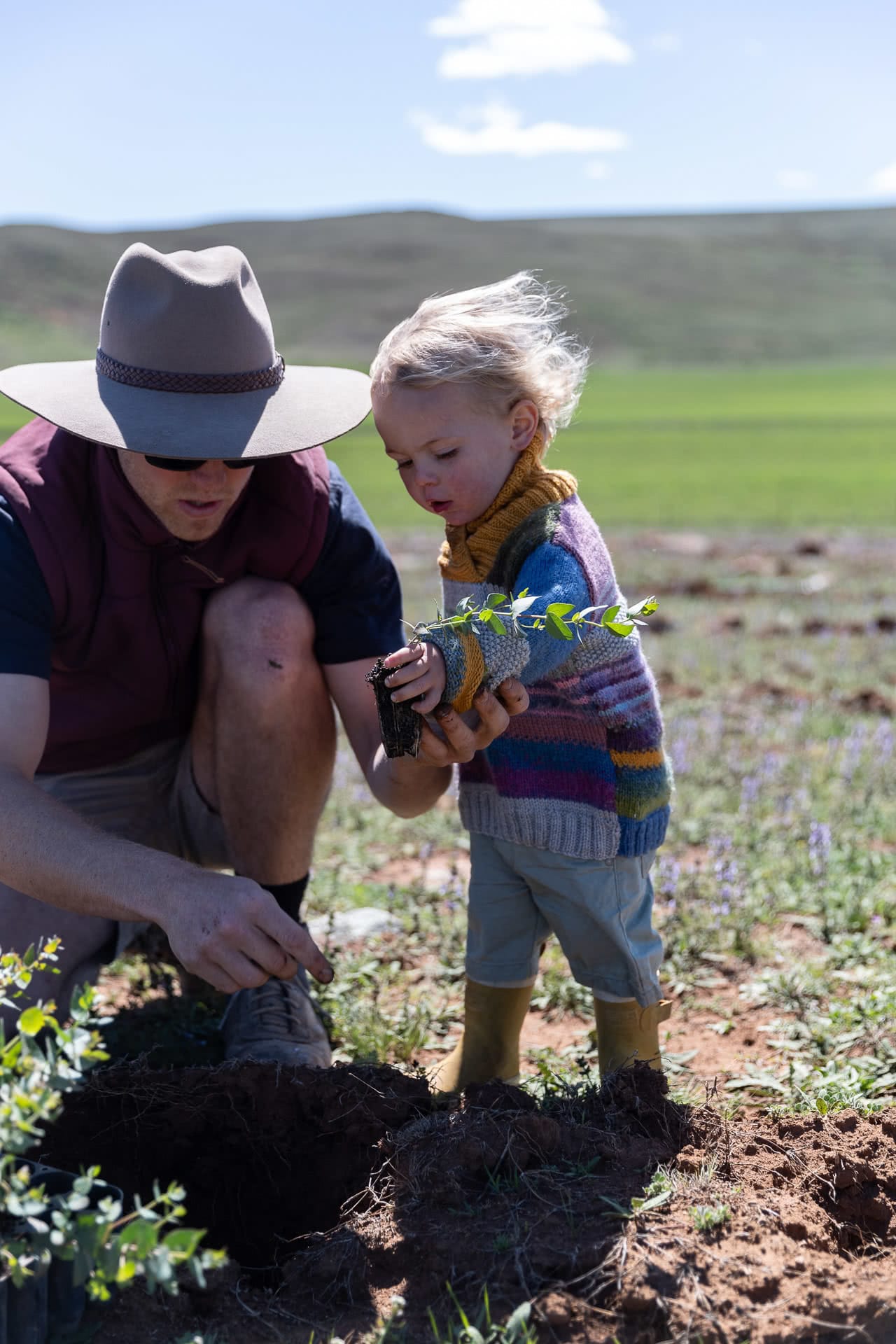 rewild the snowies, keep it cool, campaign imagery, what happens when you plant a tree?, snowy mountains, nsw, baby