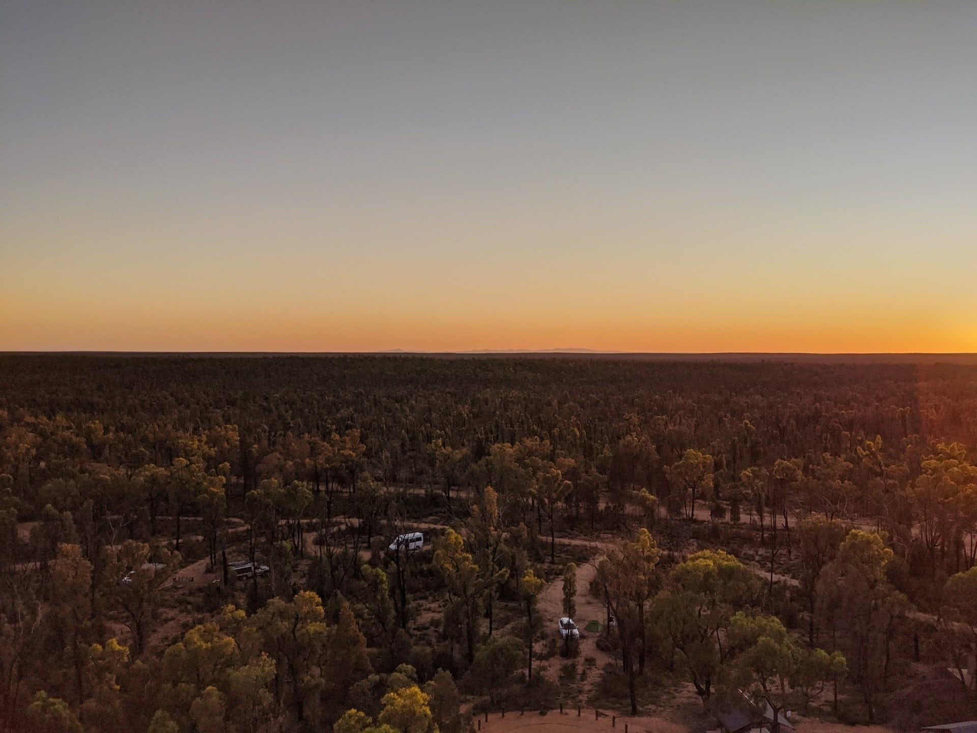 Pilliga Forest is Where Nature and Culture Collide, Amy Fairall, forest, view, sunrise, campground