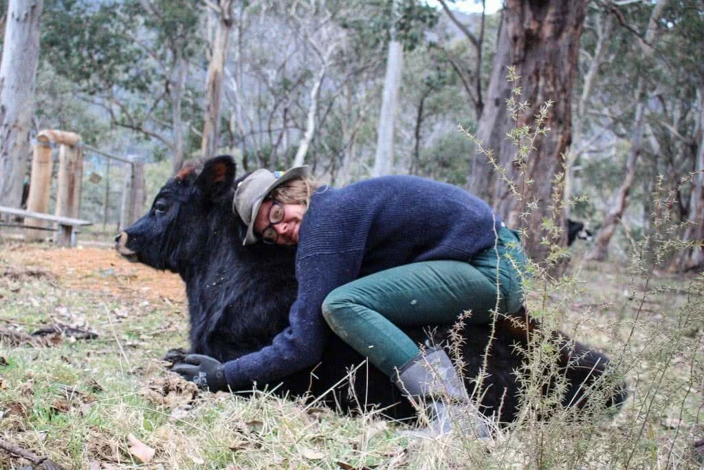 Cuddling calfies, 7 Things I Learned Living Without Technology for a Year, photo by Pippa Salmon, victorian high country