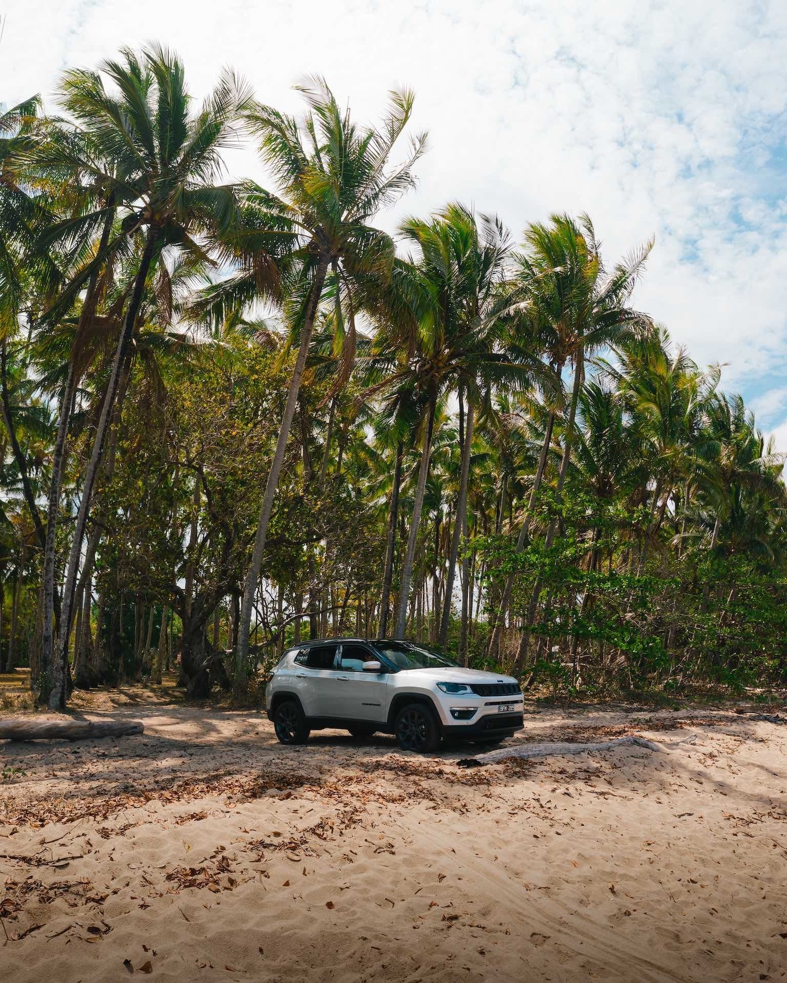 Port Douglas, jeep, fin matson, palms, cairns, great barrier reef drive, queensland