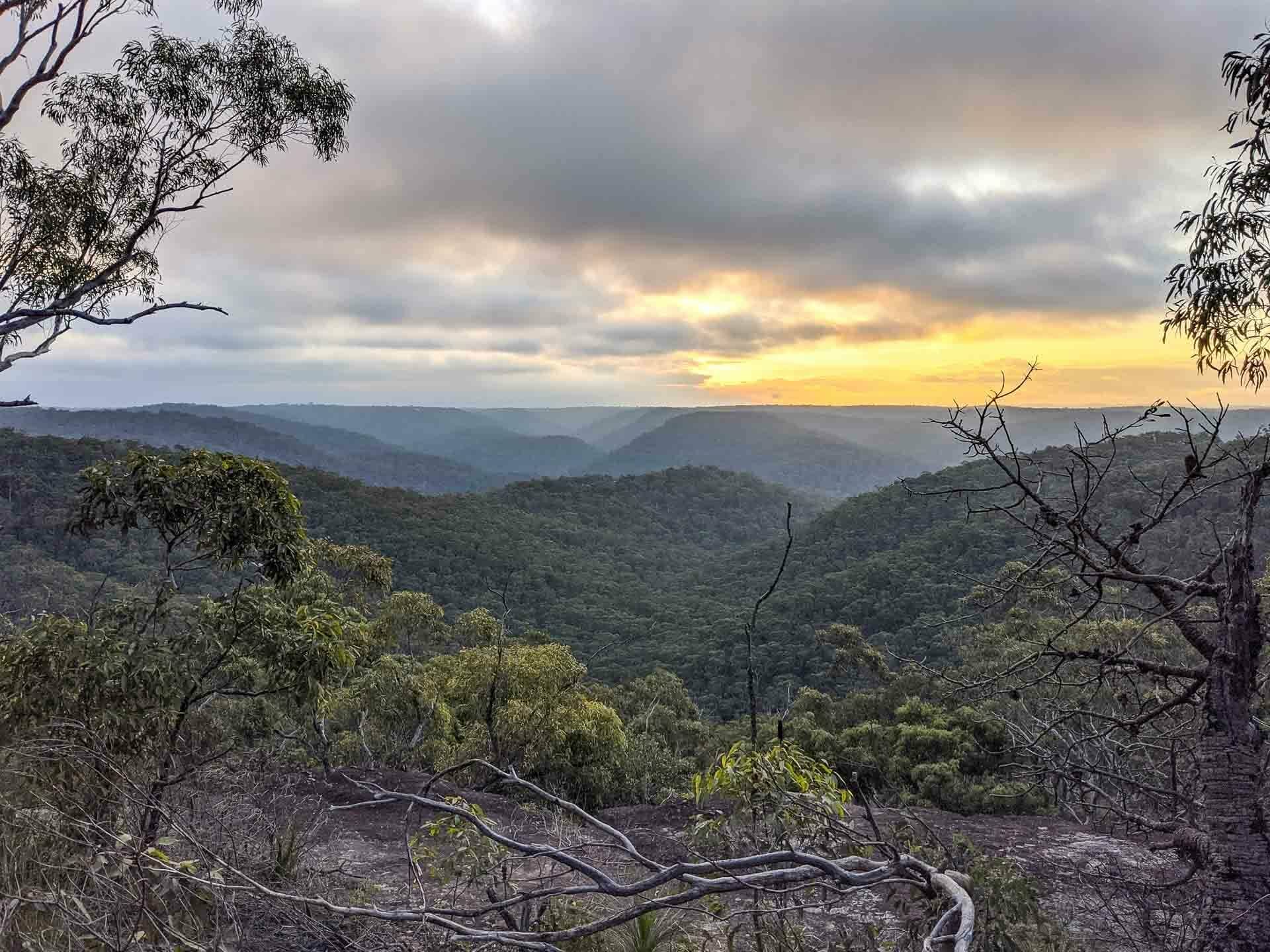 Hiking the Great North Walk – Sydney's 250km Thru Hike, jason reeves, sydney to newcastle, nsw, sunrise