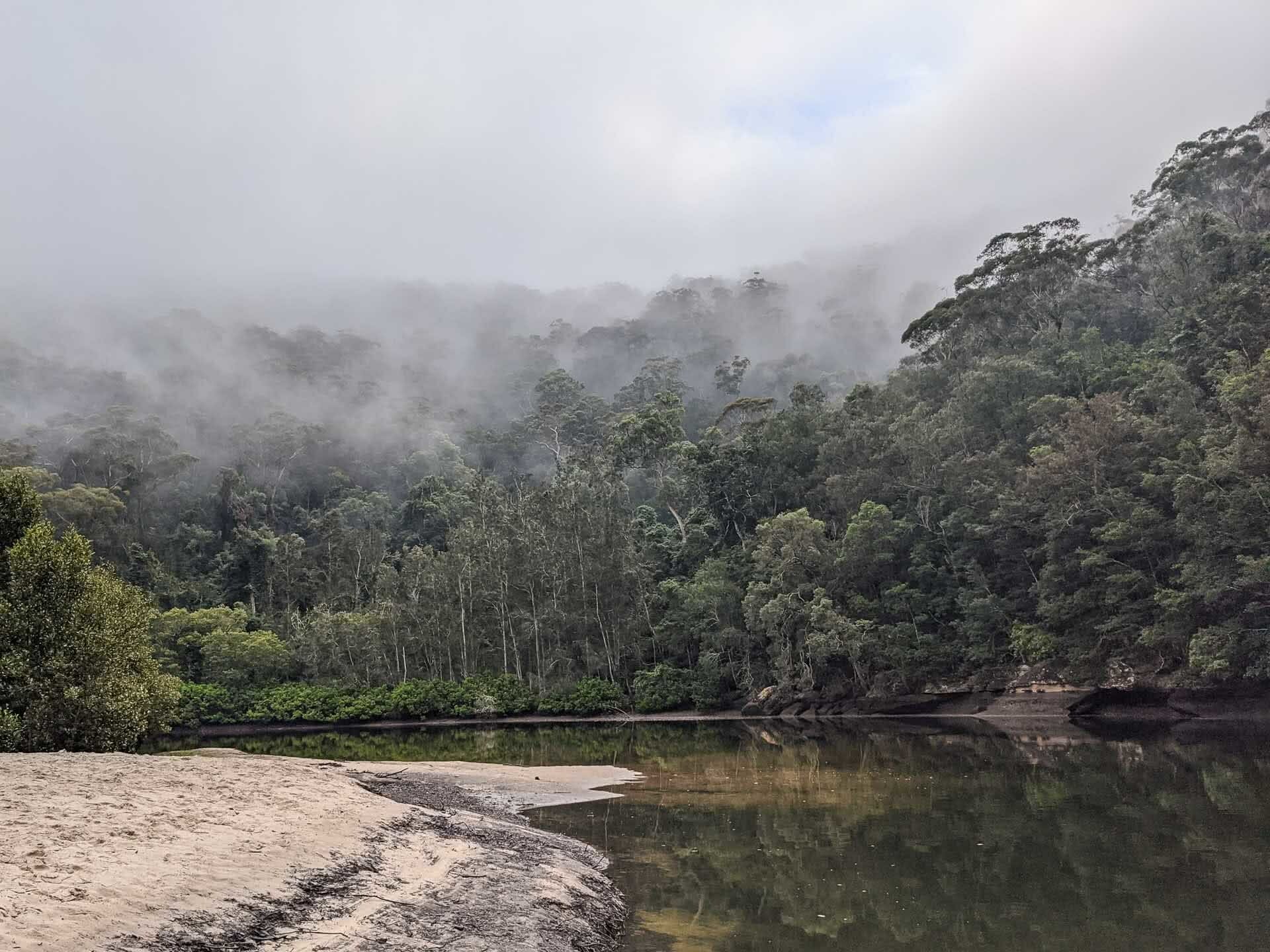 Hiking the Great North Walk – Sydney's 250km Thru Hike, jason reeves, sydney to newcastle, nsw, crosslands reserve