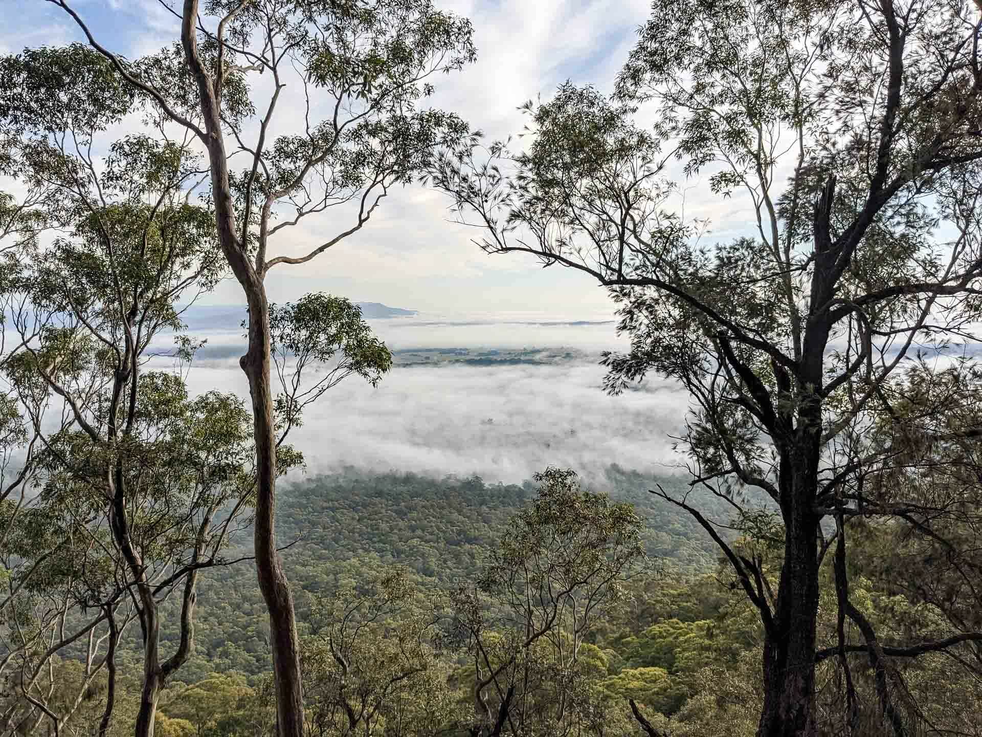 Hiking the Great North Walk – Sydney's 250km Thru Hike, jason reeves, sydney to newcastle, nsw
