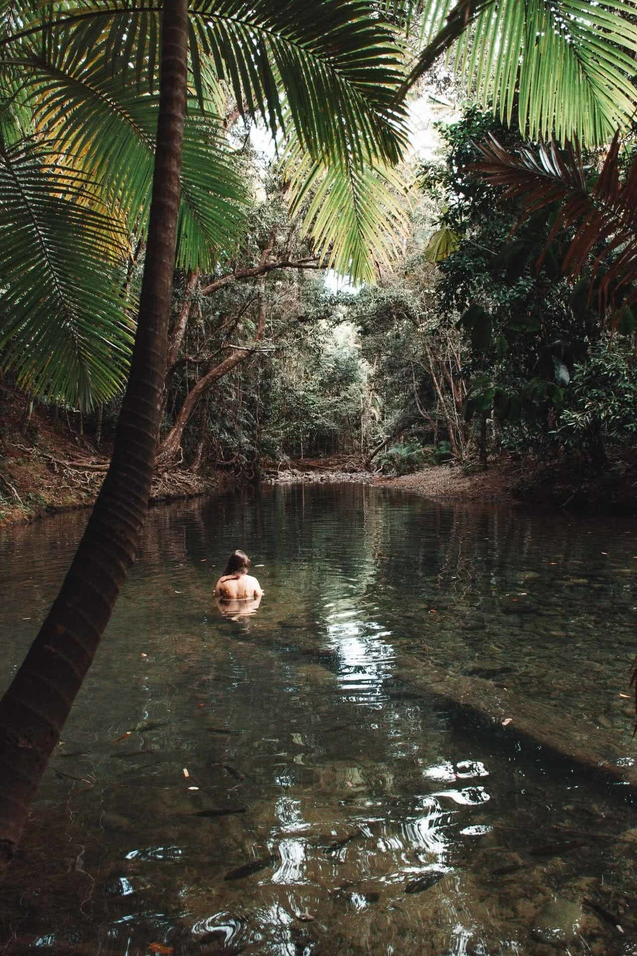 Mossman Swimason's Swimming Hole, Jaime wilson, Great Barrier Reef Drive – This Road Trip North From Cairns Has It All, Tropical North Queensland, wild swimming, gorgemming Hole, Jaime wilson, Great Barrier Reef Drive – This Road Trip North From Cairns Has It All, Tropical North Queensland, wild swimming, gorge