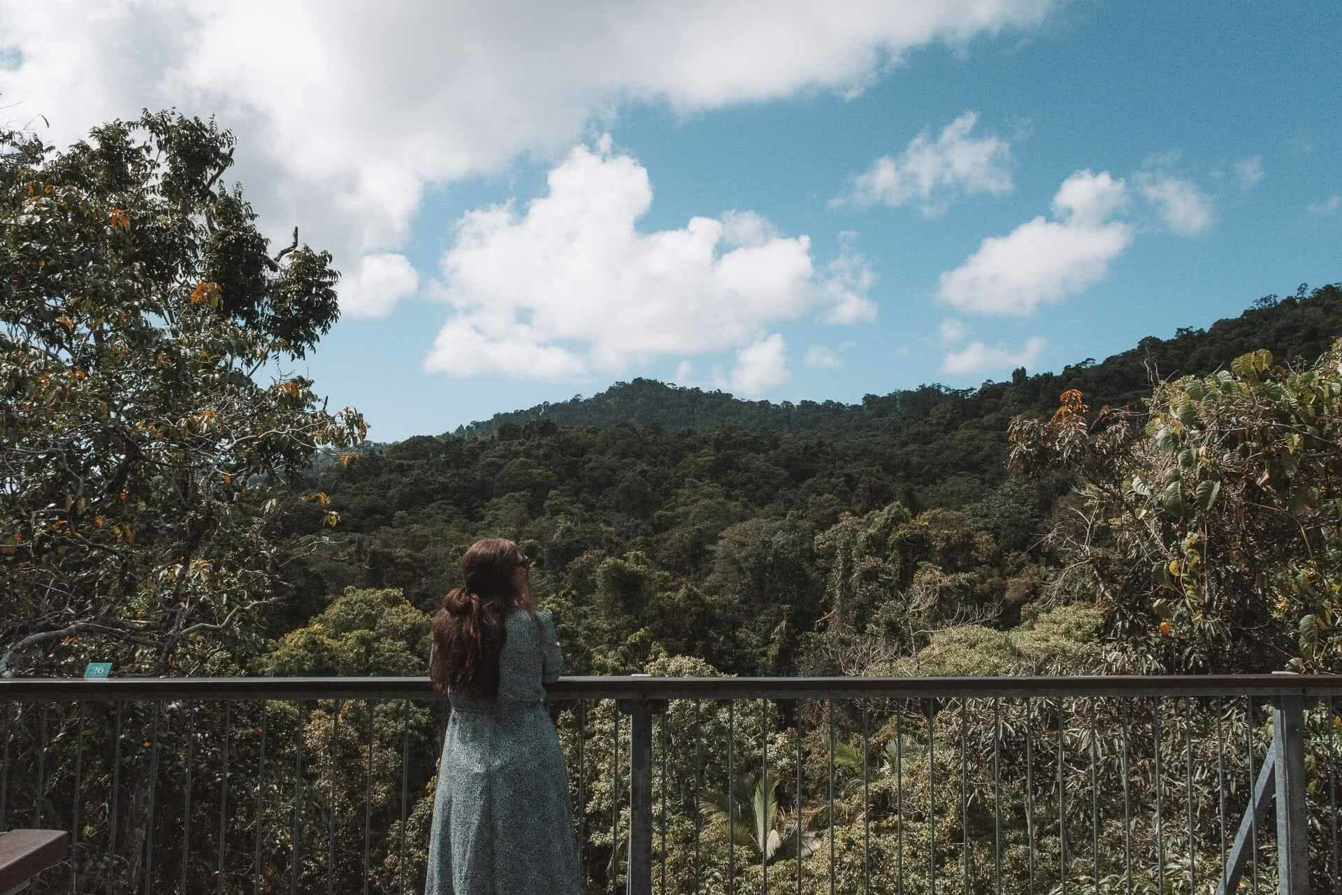 Daintree Rainforest, Jaime wilson, Great Barrier Reef Drive – This Road Trip North From Cairns Has It All, Tropical North Queensland