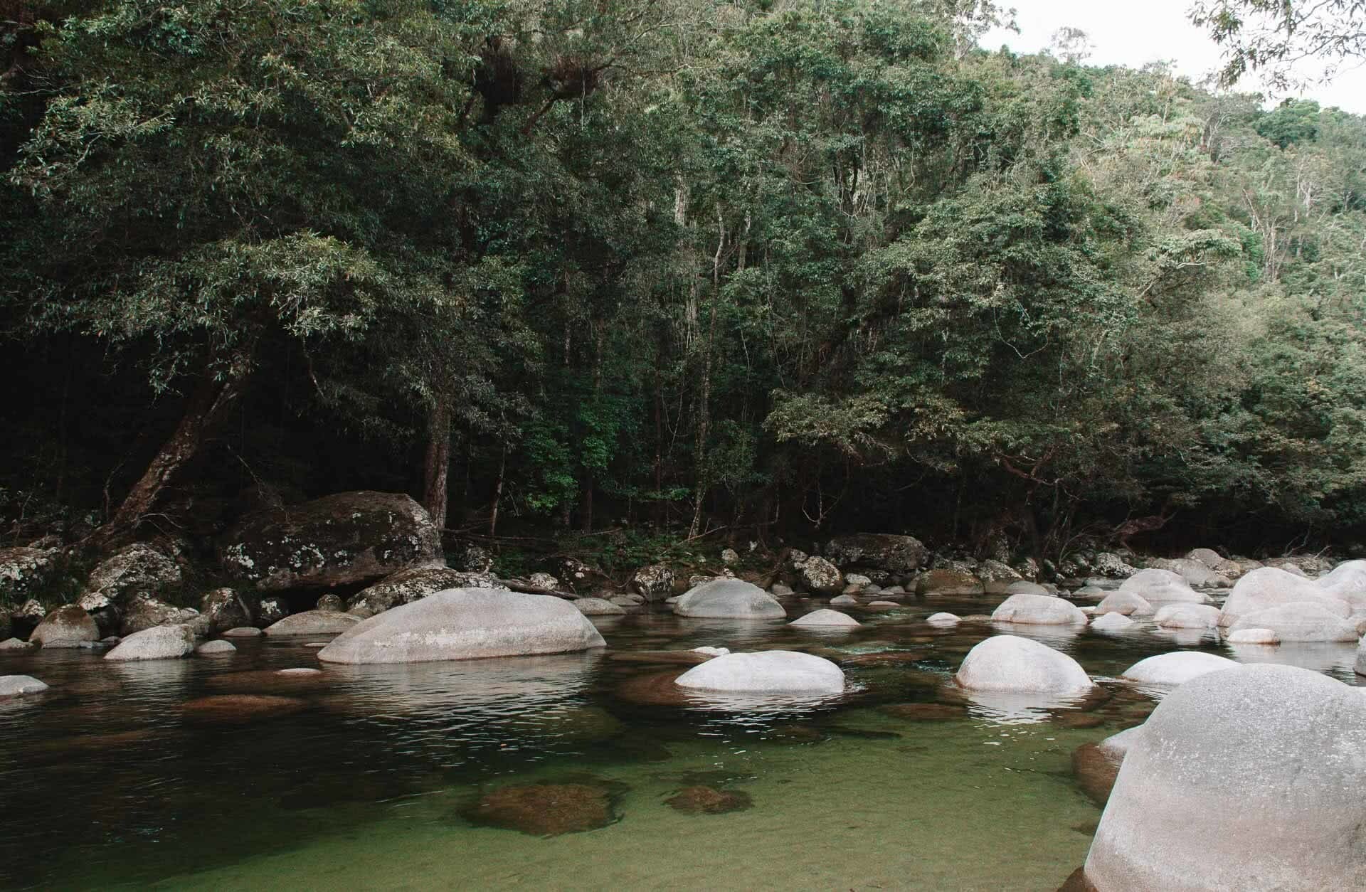 mossman gorge Swimming Hole, Jaime wilson, Great Barrier Reef Drive – This Road Trip North From Cairns Has It All, Tropical North Queensland, wild swimming, gorge