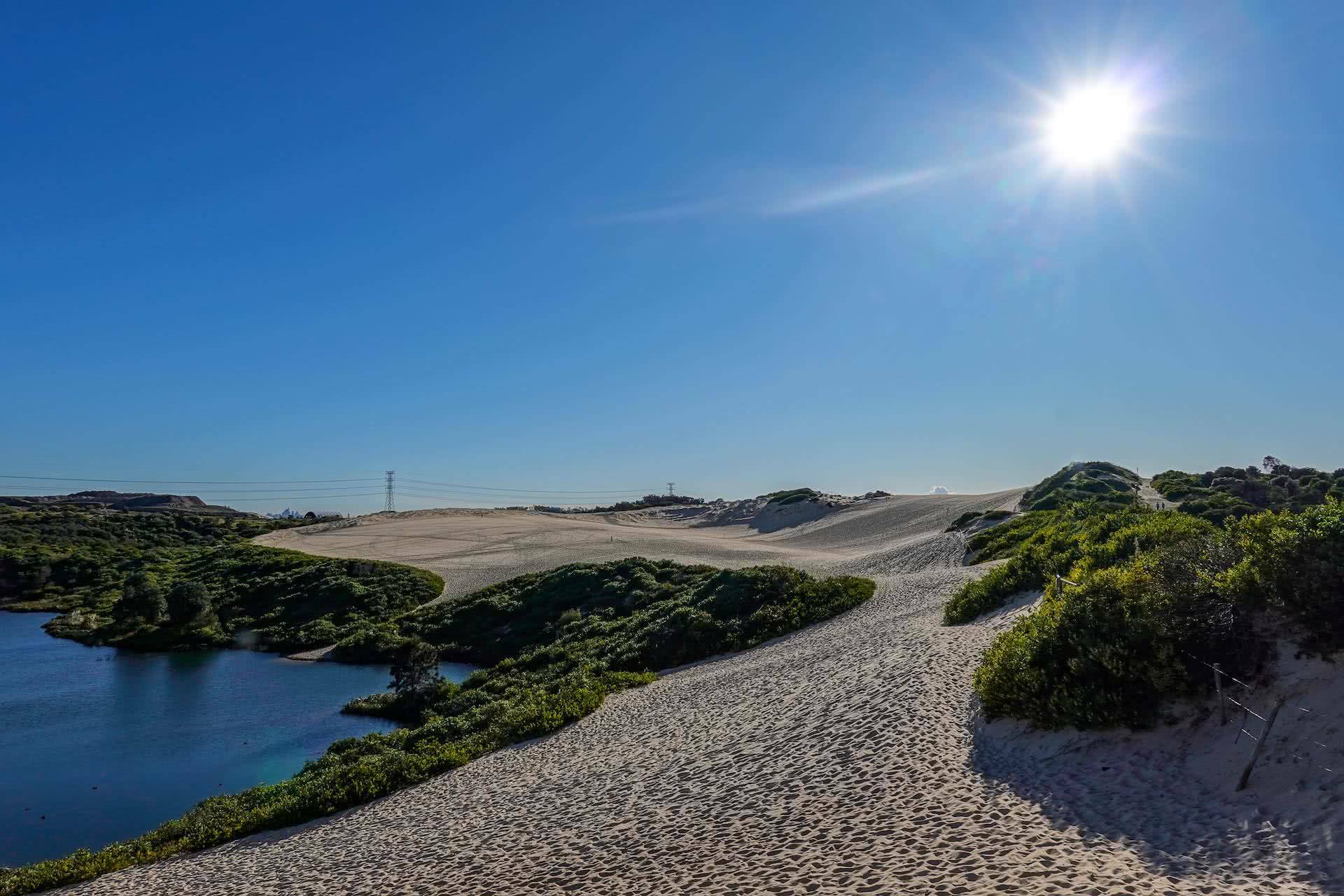 Catching the early morning sun at the Cronulla Sand Dunes