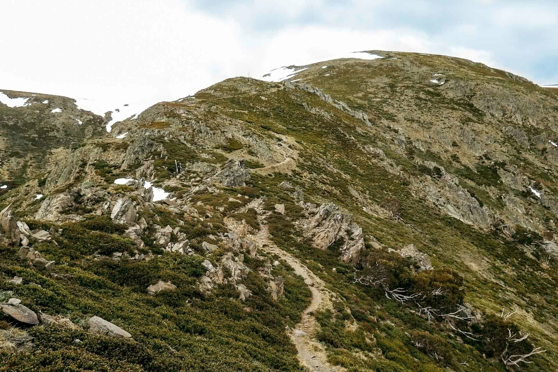kale munro, earning your turns in a pandemic, mt bogong, victorian high country, splitboarding, trail