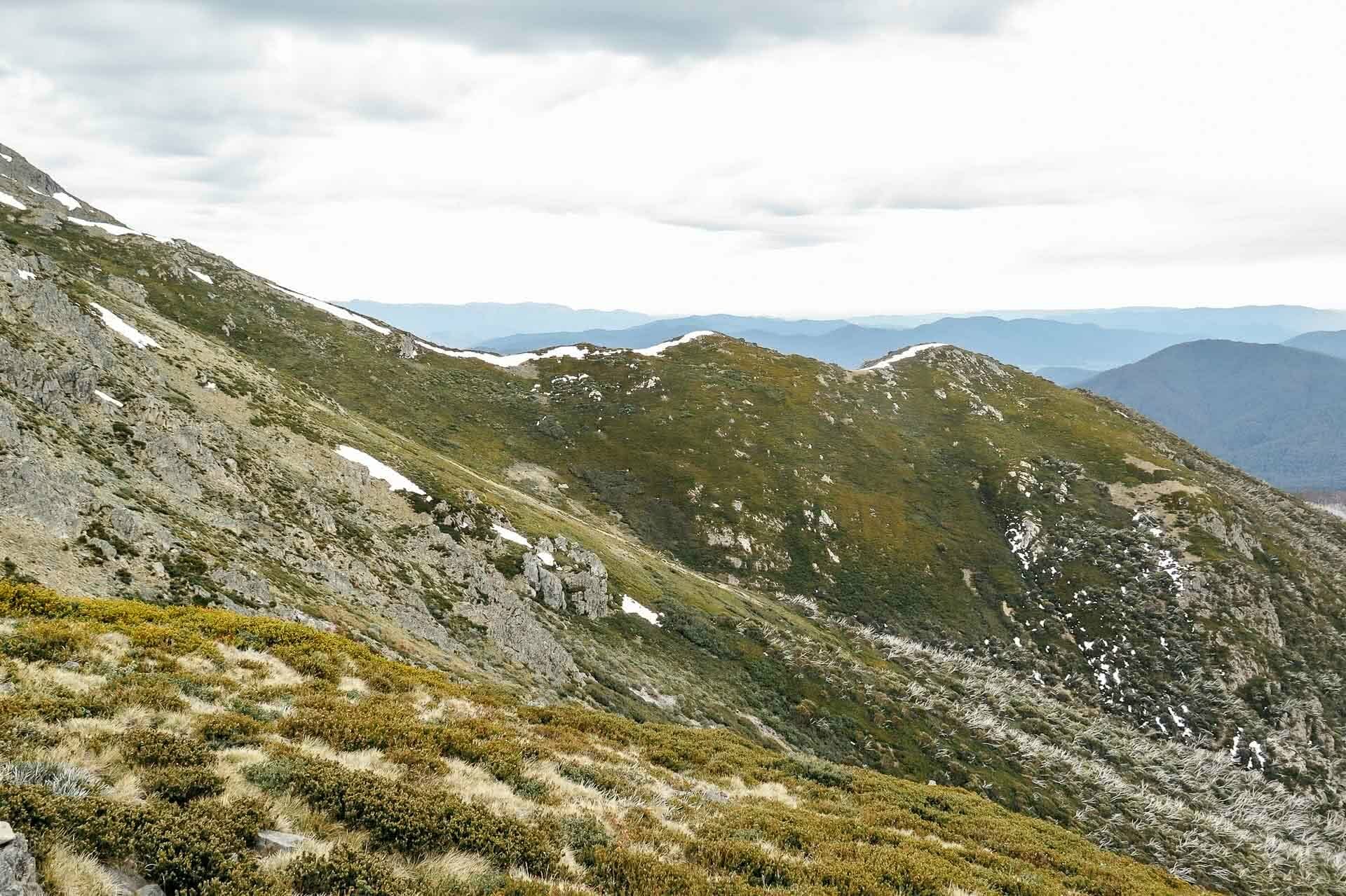 kale munro, earning your turns in a pandemic, mt bogong, victorian high country, splitboarding