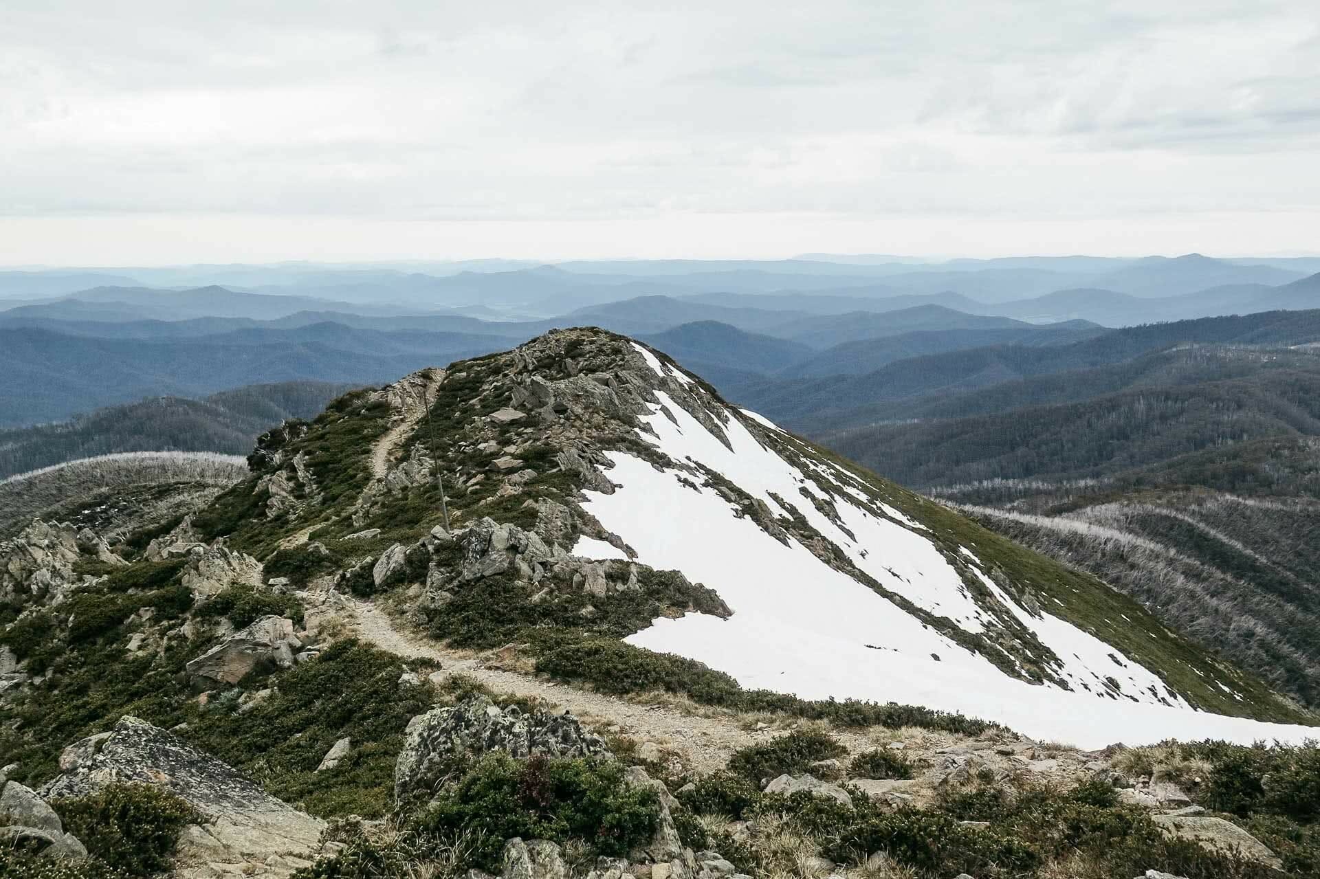 kale munro, earning your turns in a pandemic, mt bogong, victorian high country, splitboarding