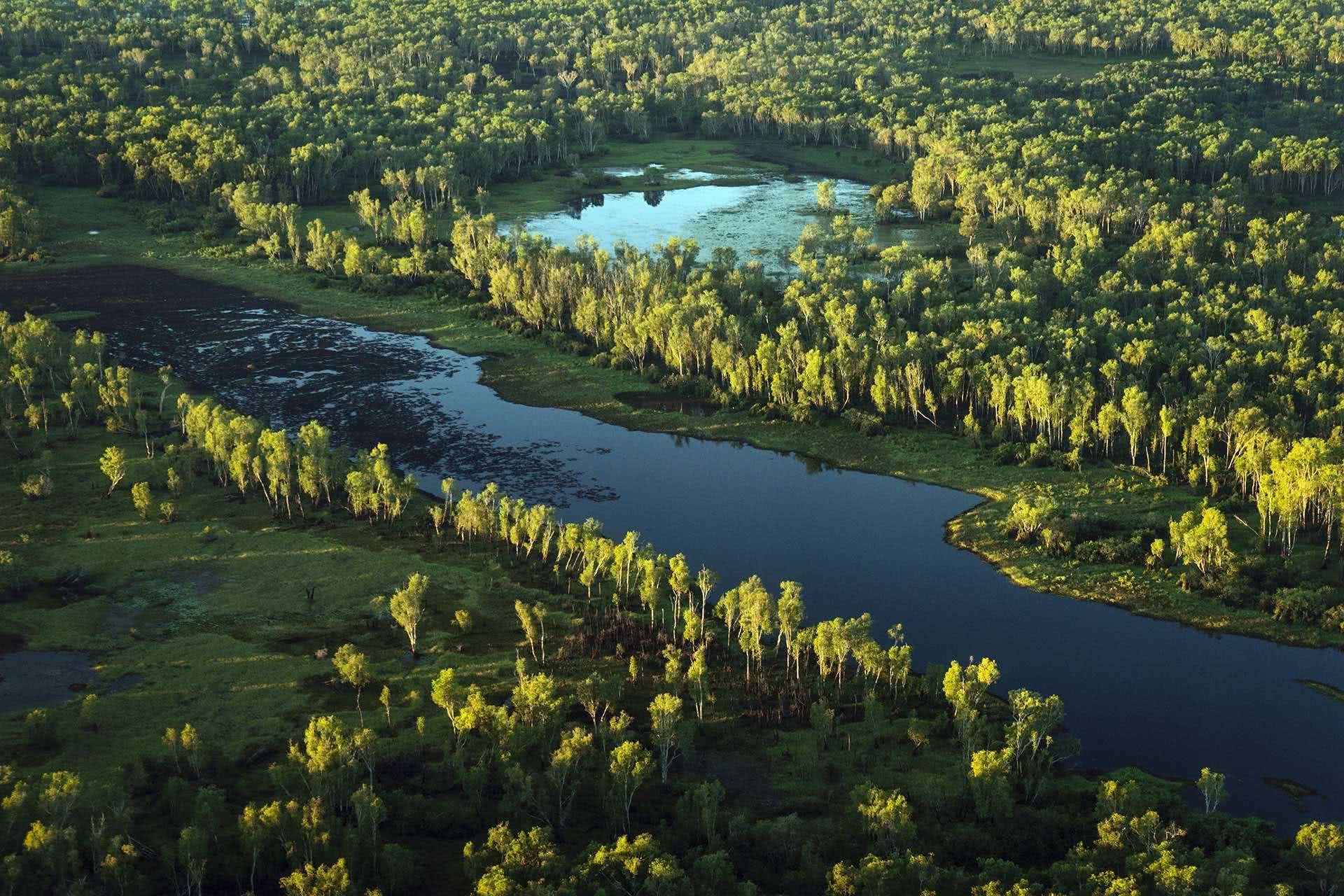 Ngurrungurrudjba – A Guide to Kakadu’s Most Magnificent Wetlands, Lewis Burnett, drone shot, wetlands, river