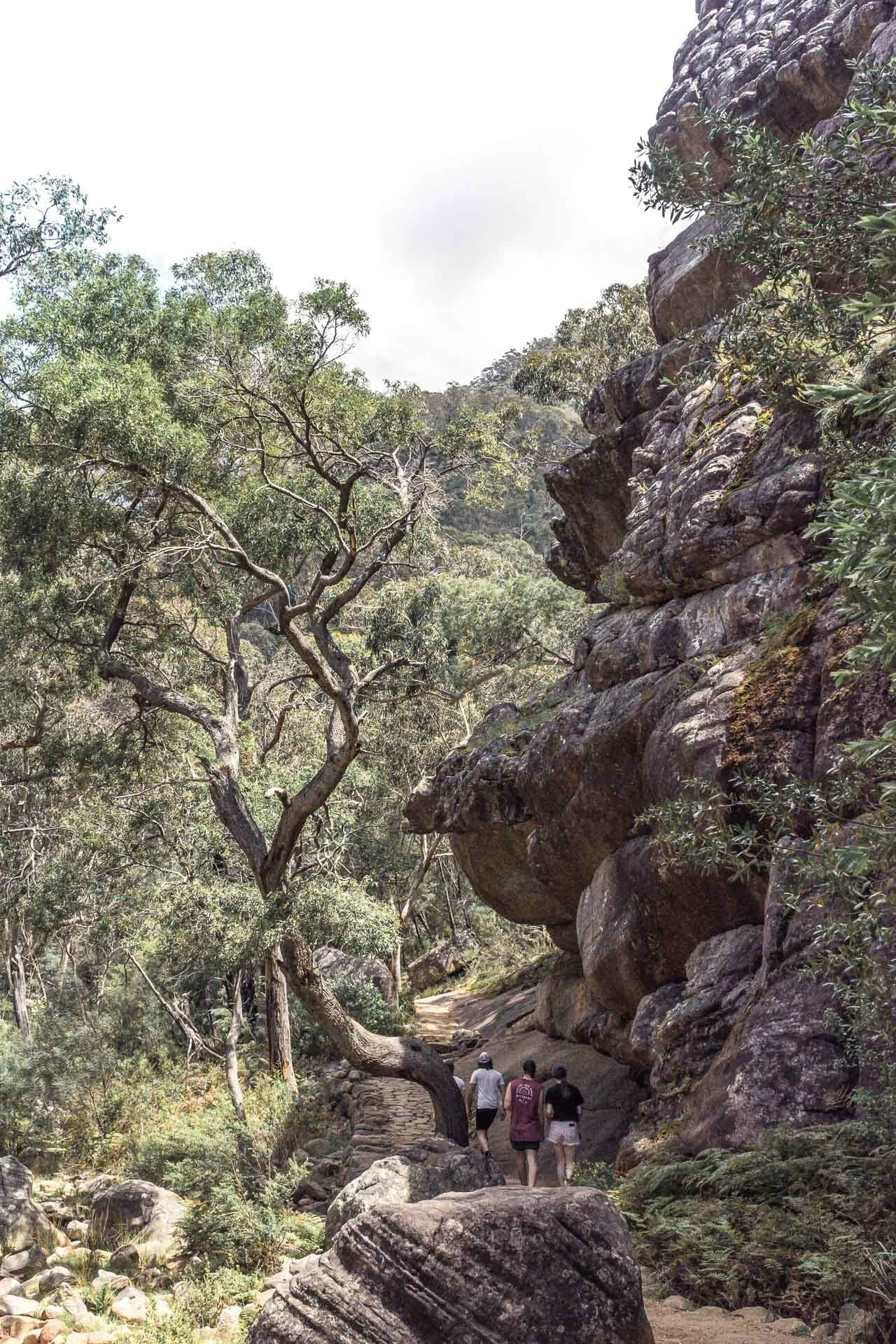 The Pinnacle – Grampians National Park's Best View, jaime wilson, grampians national park, gariwerd, victoria, canyon