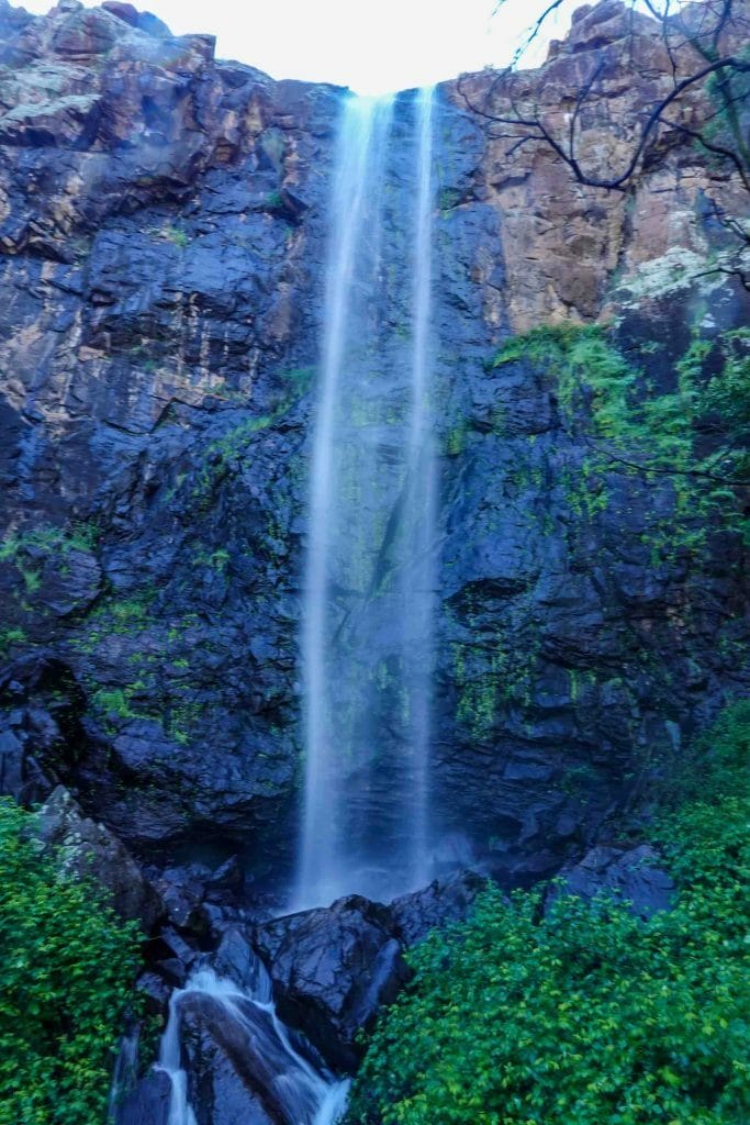 Federal Falls is a Secret Waterfall Near Orange, Dan Piggott, waterfall, Mount Canobolas State Conservation Area, waterfall
