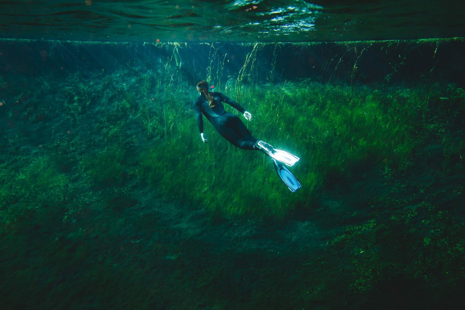 Ewens Ponds is a Sink-Hole Snorkelling Haven, Jack Brookes, swimming, snorkel, underwater, moss