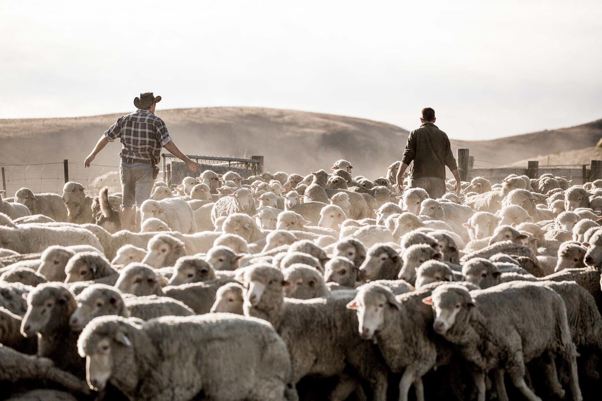 The Woolshed at The Point Station, Tarras, The Intriguing History (and Exciting Future) of Hiking Clothing
